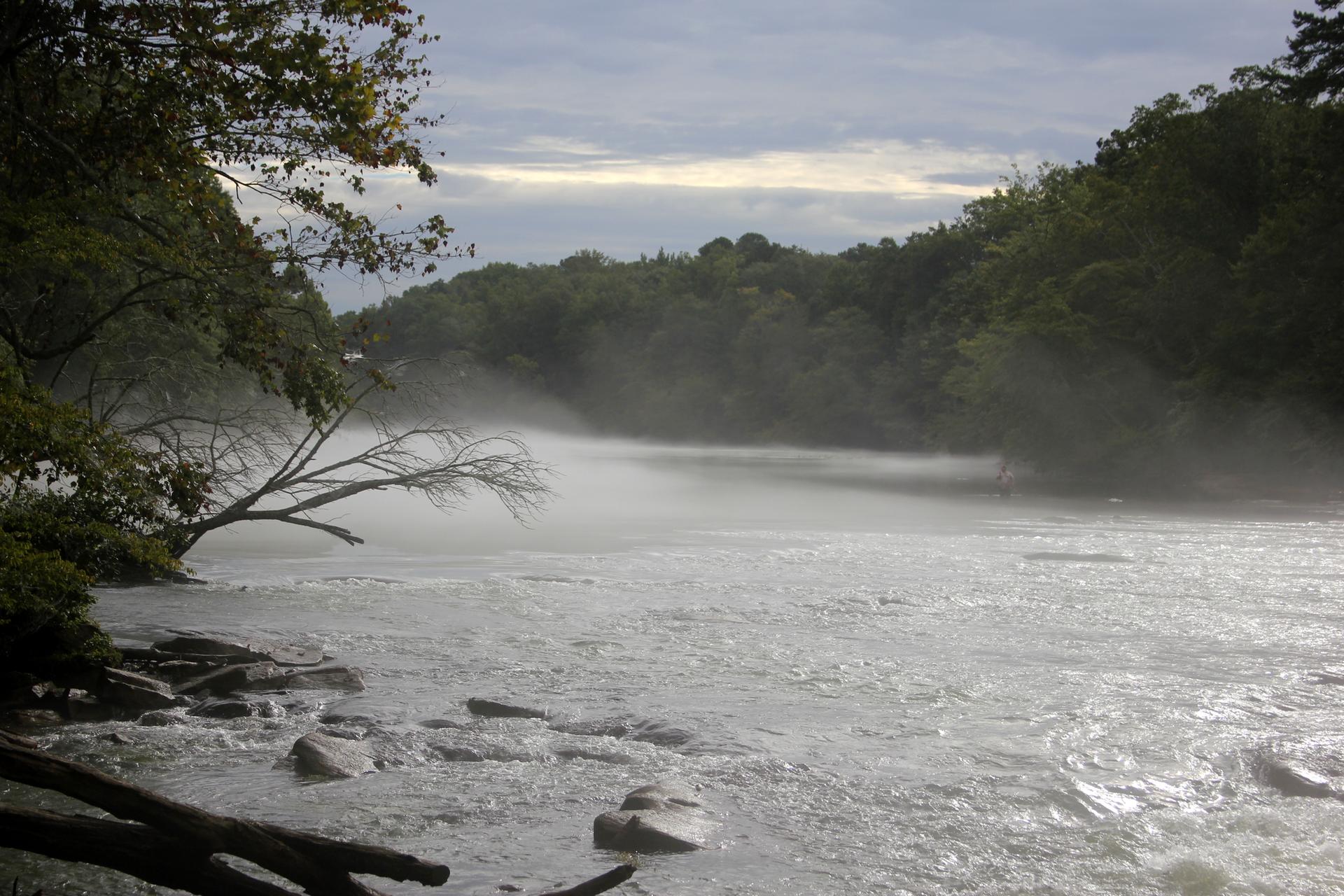 A misty river flows past a dark forested bank under an overcast sky.