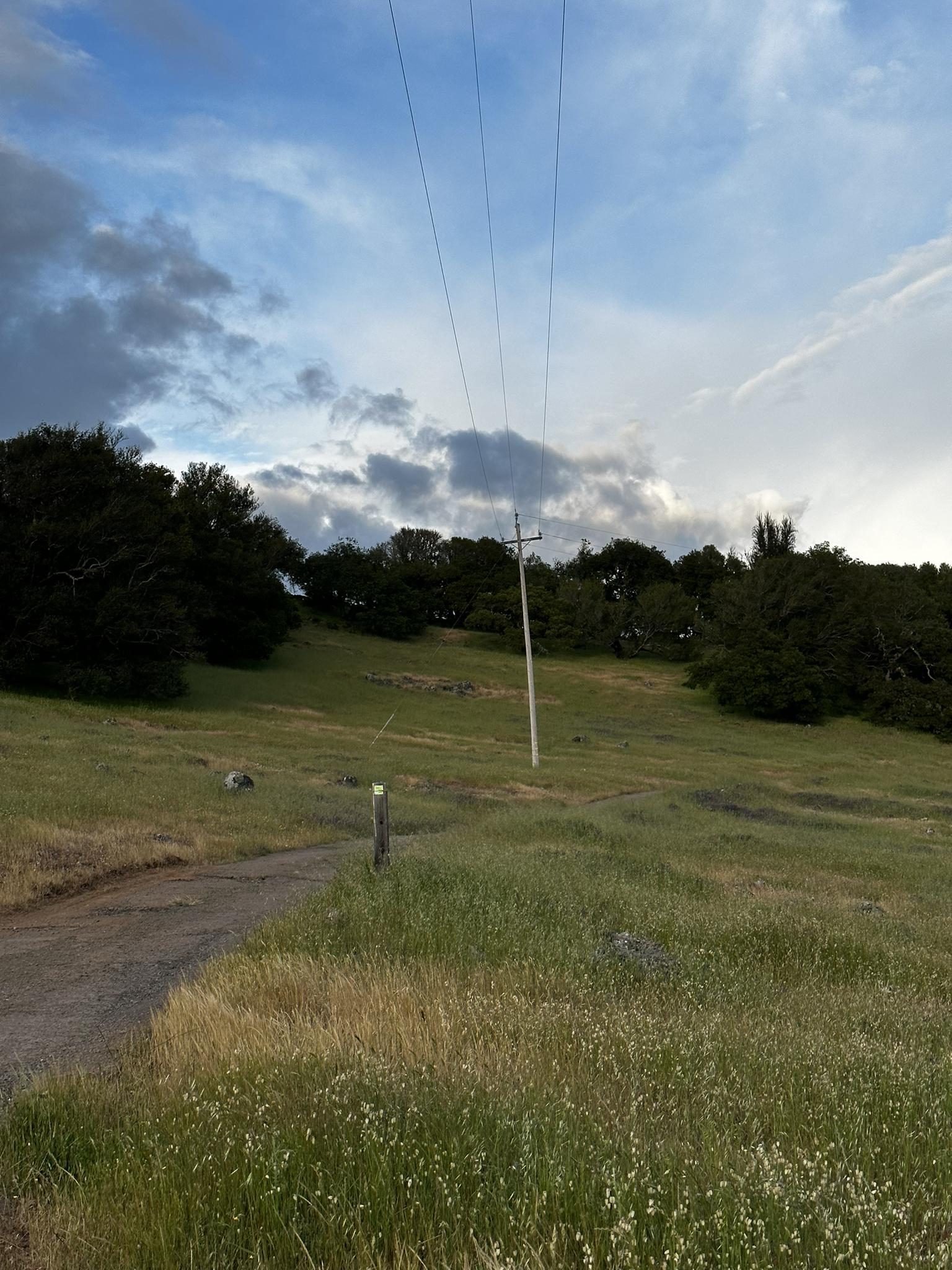 Power lines stretch over a green grassy hill with trees under a cloudy sky.