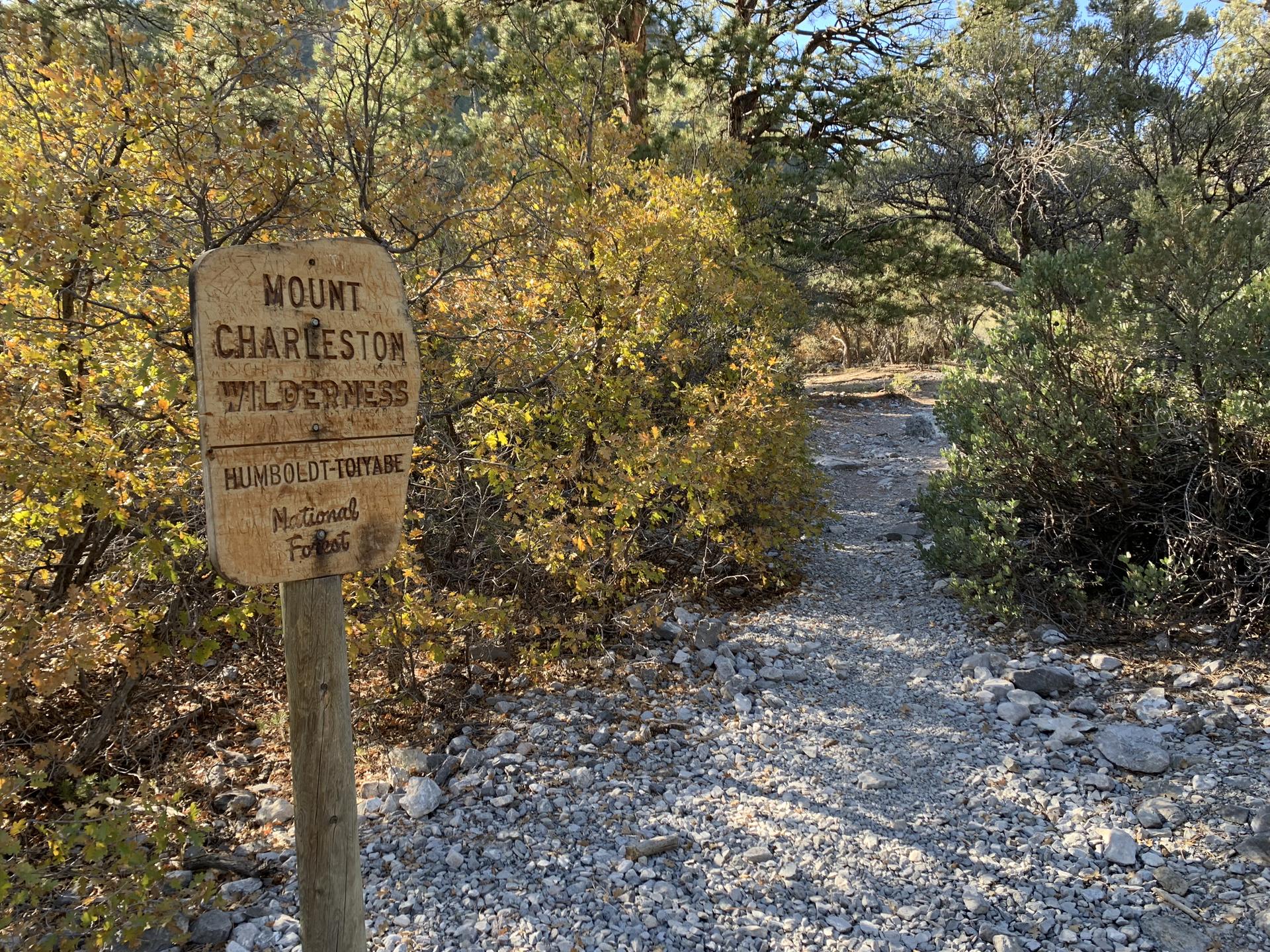 Wooden signpost beside a gravel path surrounded by golden autumn foliage.
