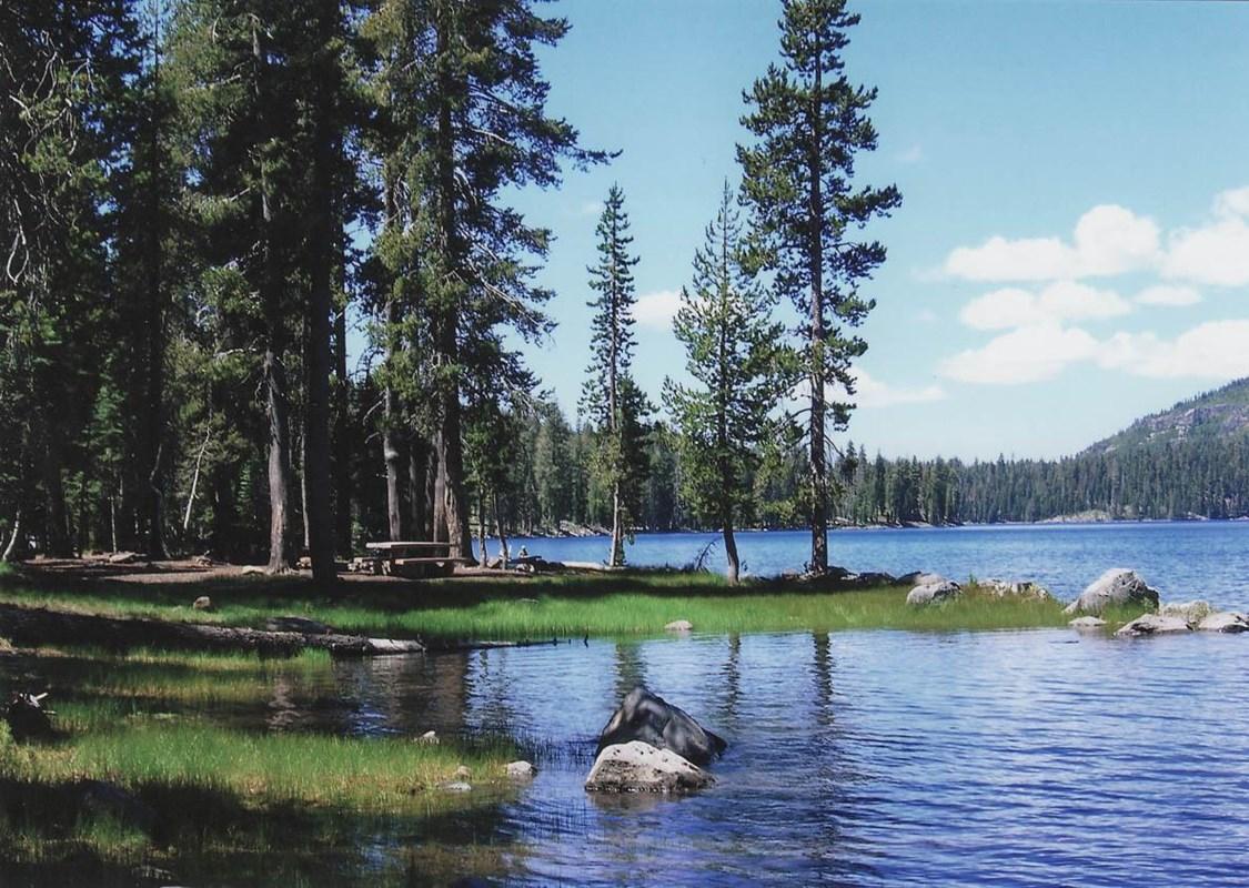 Serene lake with a forested shoreline and a picnic area on a sunny day.