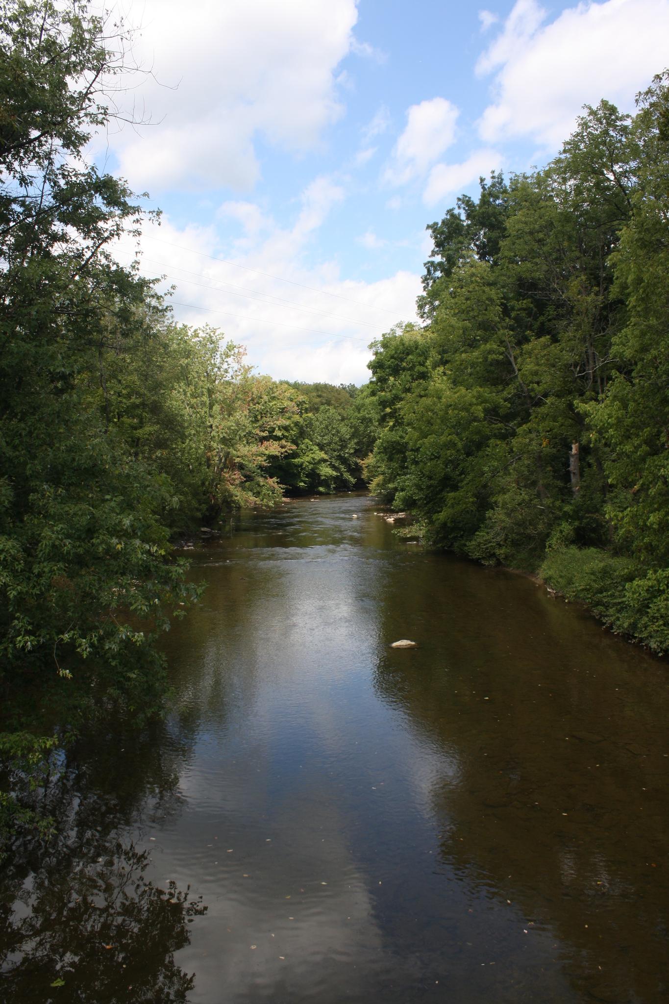 A dark river reflects a partly cloudy sky, surrounded by lush green trees.