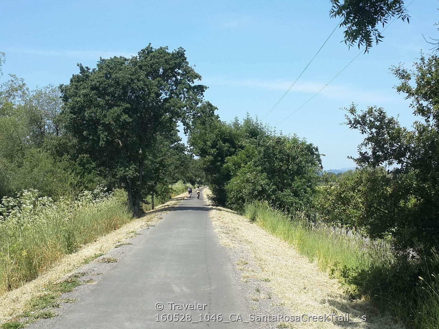 A paved path stretches under a clear sky, bordered by trees and grass.