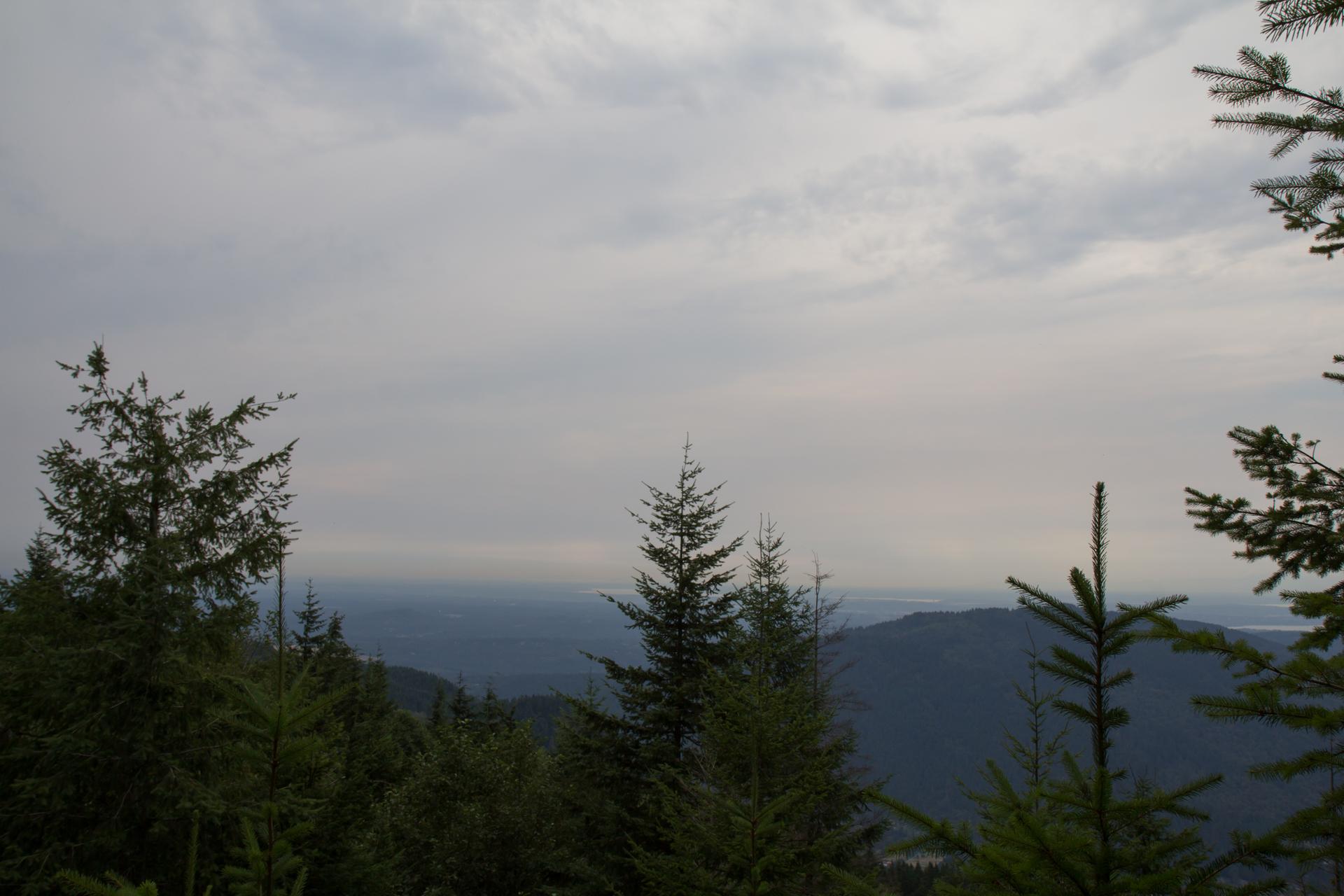 Overcast view of distant mountains framed by evergreen trees.