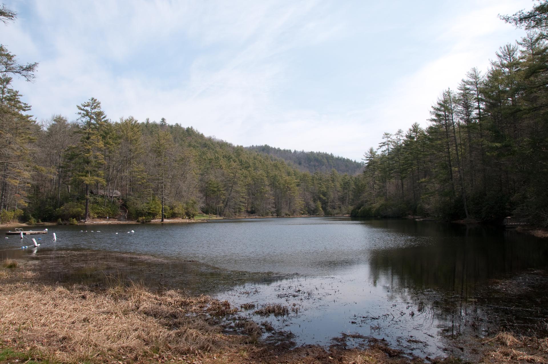 Serene lake bordered by evergreen and deciduous trees under a bright sky.