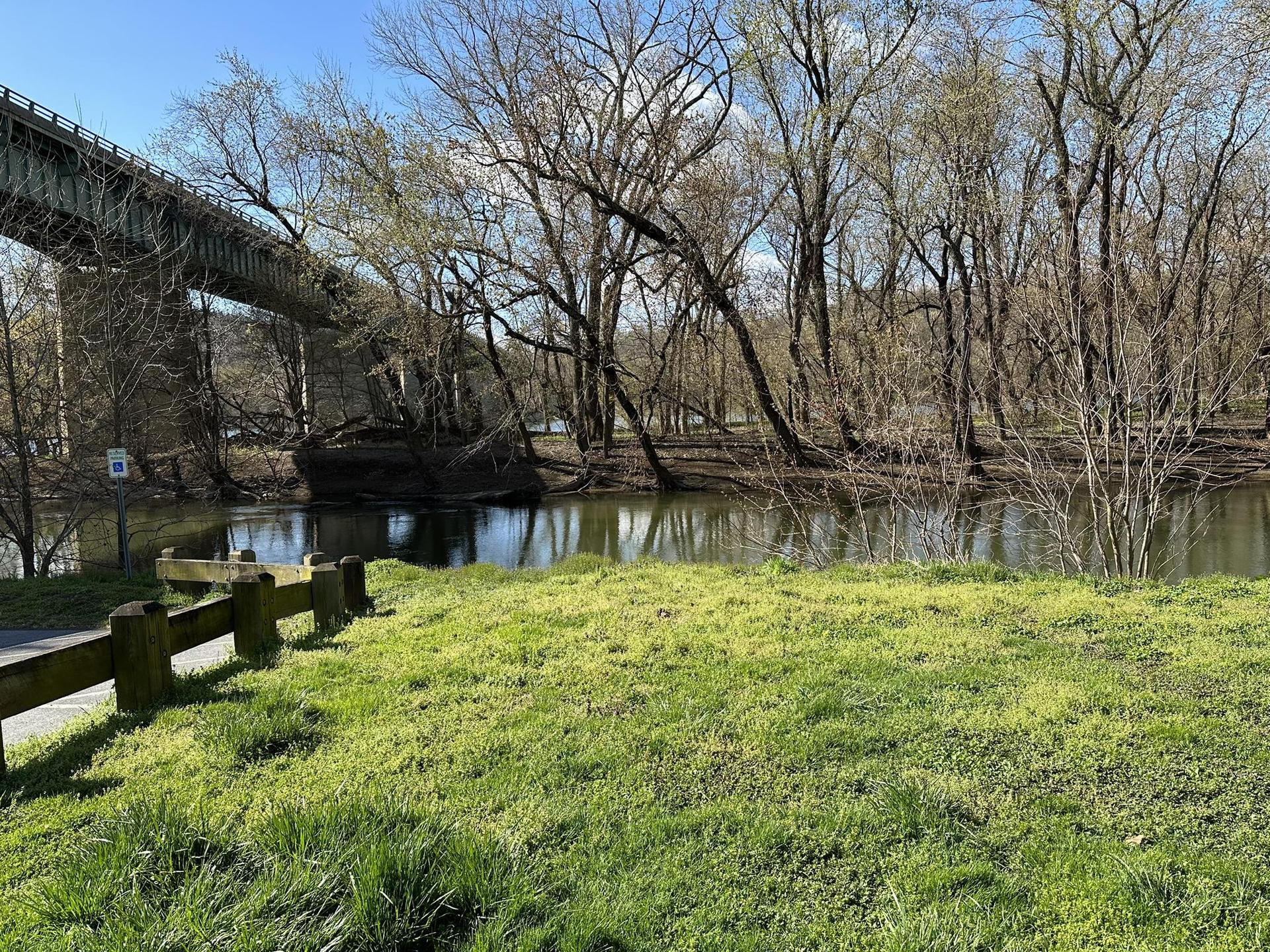 Sunny view of a river with a bridge and bare trees.