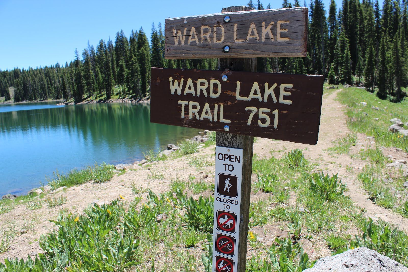 Wooden trail sign next to a lake and forest on a sunny day. - Ward Lake Loop