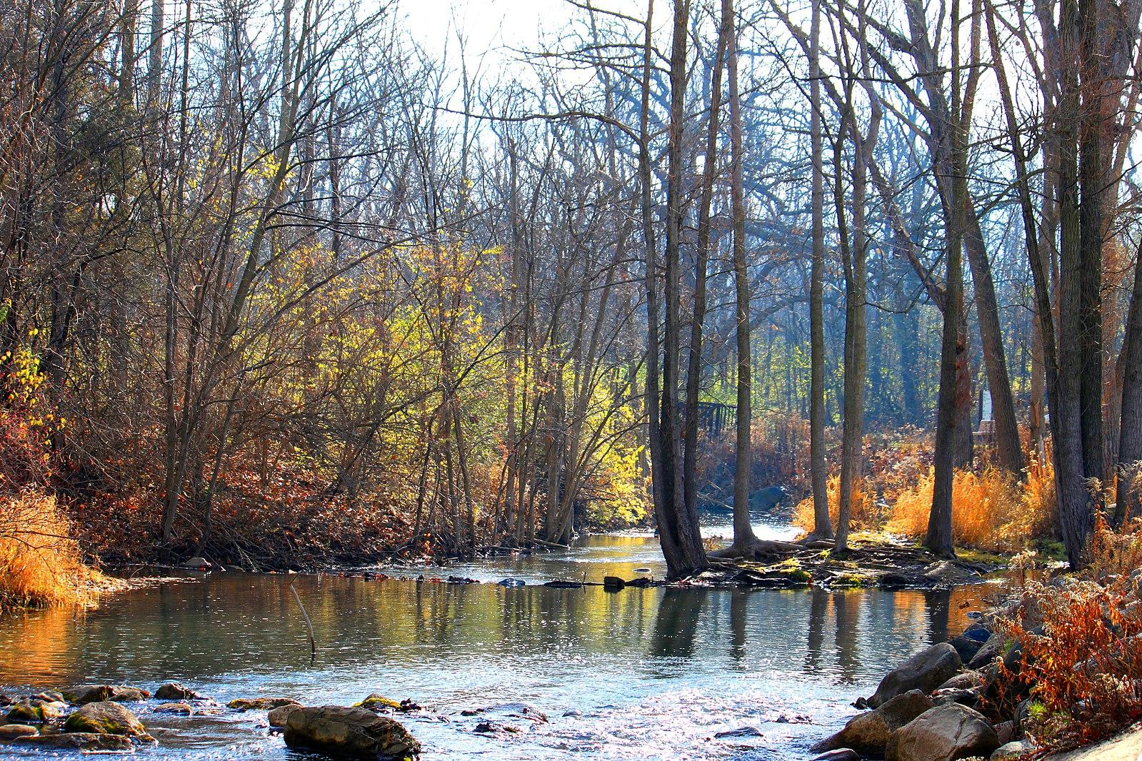 A river flows through a forest with bare trees and autumn foliage.