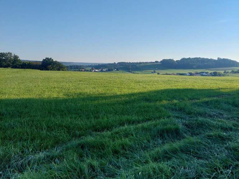 Hahnenberg und Langert: Mountainbike-Touren und -Trails | komoot