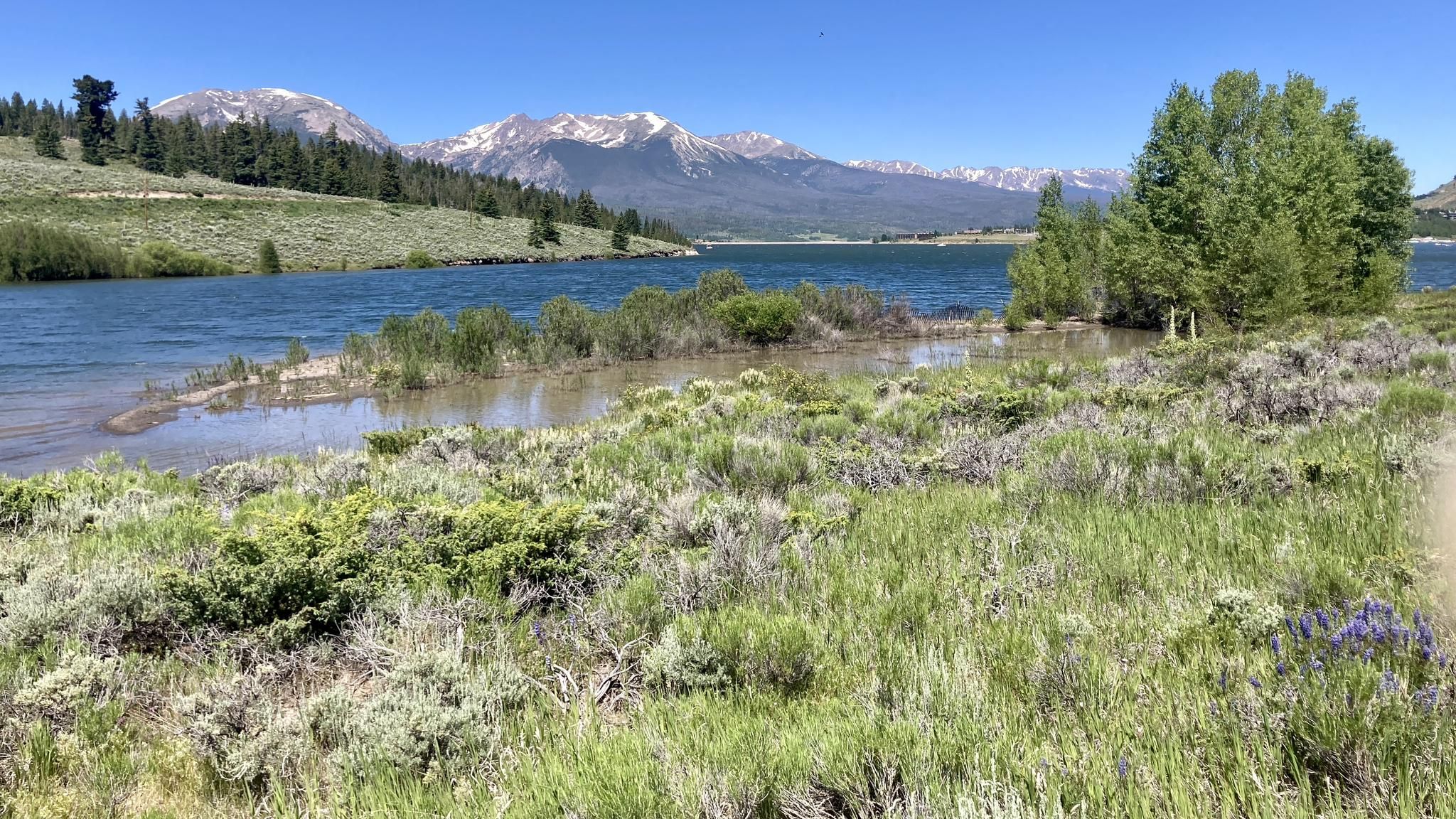 Lakeshore with green grasses and distant snowy mountains under a bright sky. - Meadow Loop and Ridge Trail
