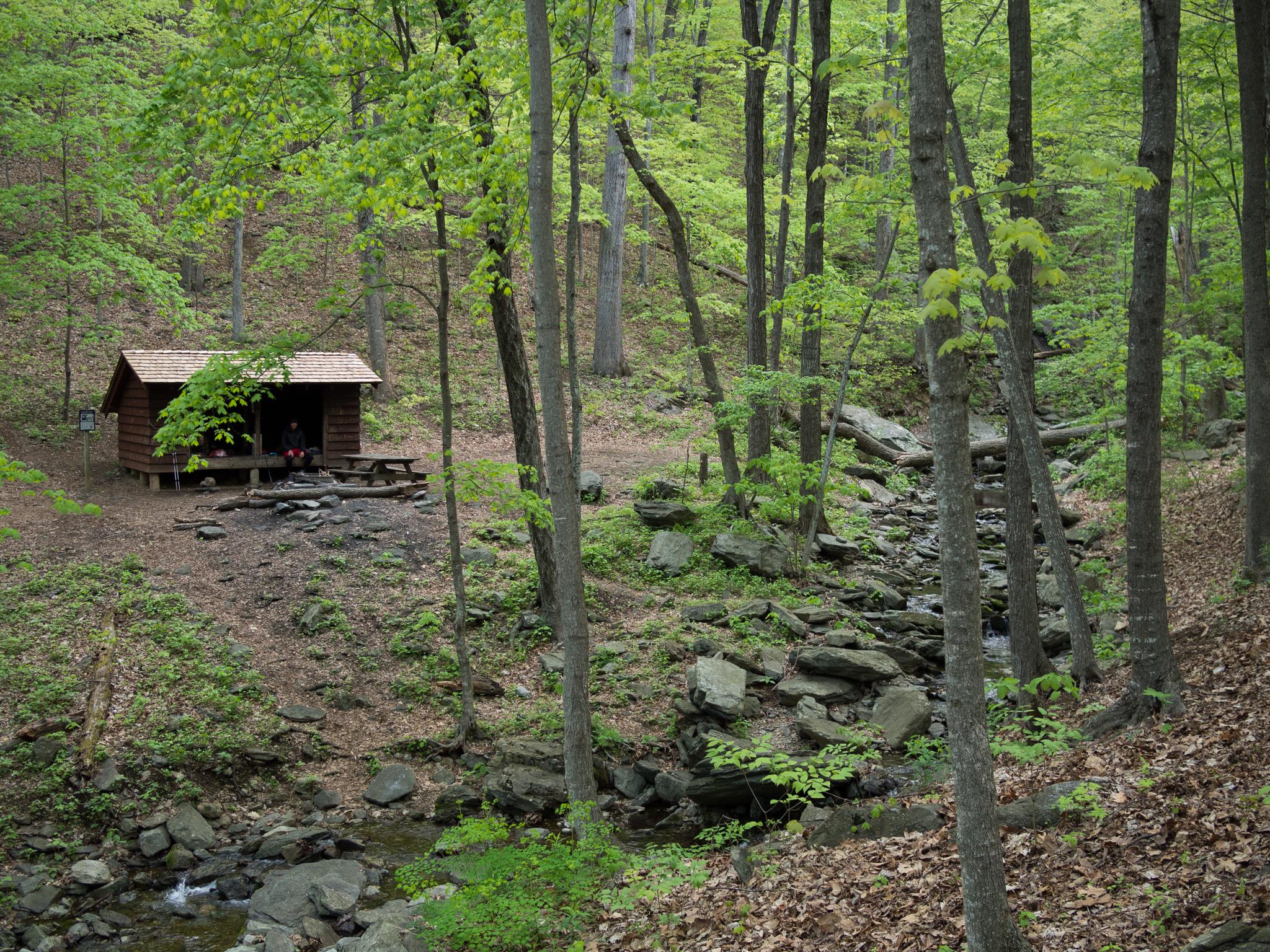 Rustic wooden cabin by a rocky stream in a lush green forest.
