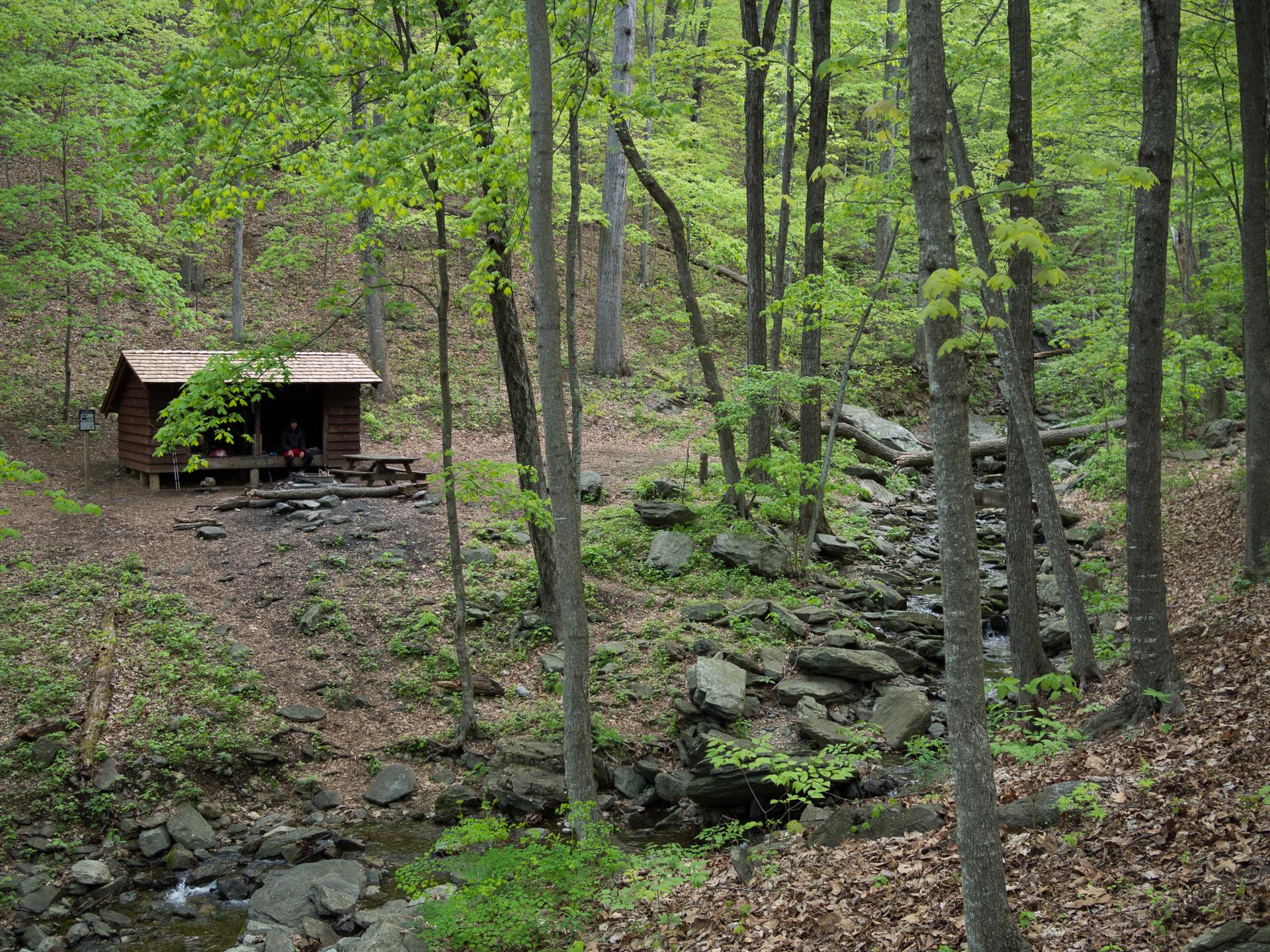 Rustic wooden cabin by a rocky stream in a lush green forest.