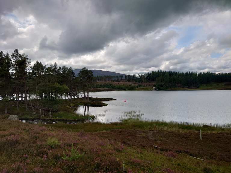 Auchintaple Loch Wanderungen und Rundwege komoot