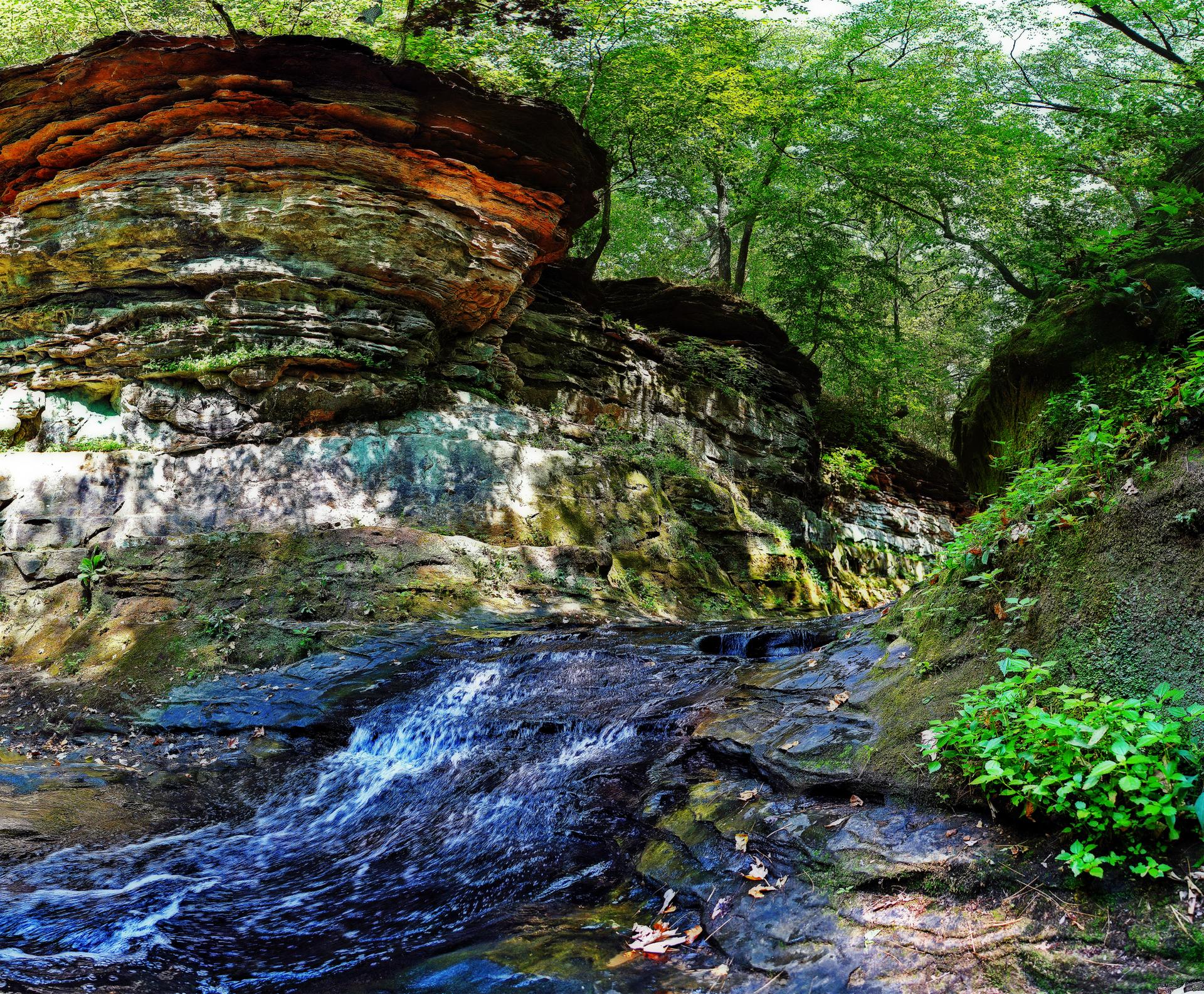 A vibrant stream winds through a shaded, mossy rock canyon with lush trees.