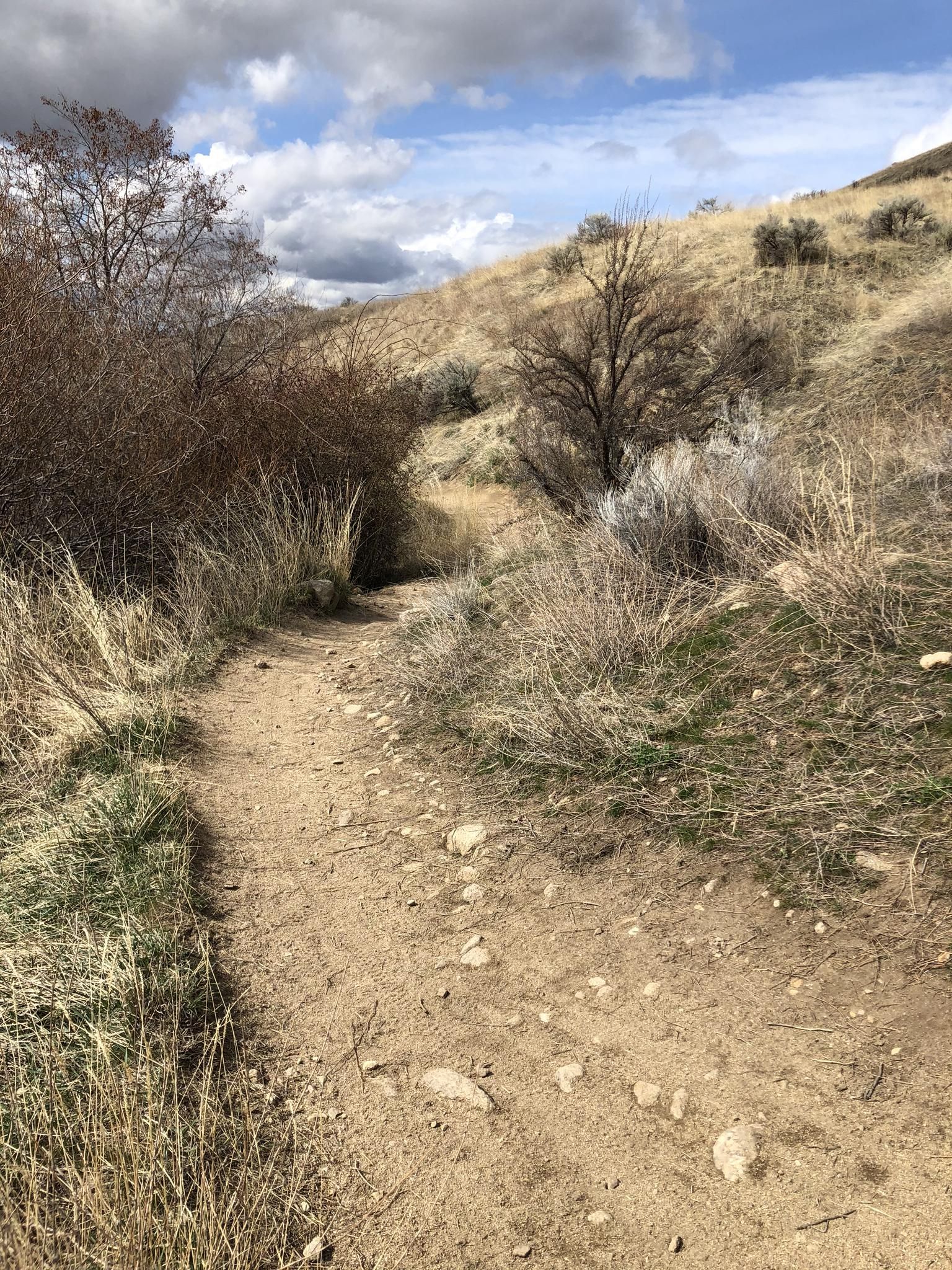 A narrow dirt path winding through dry grass and bushes on a cloudy day. - Hulls Gulch Loop