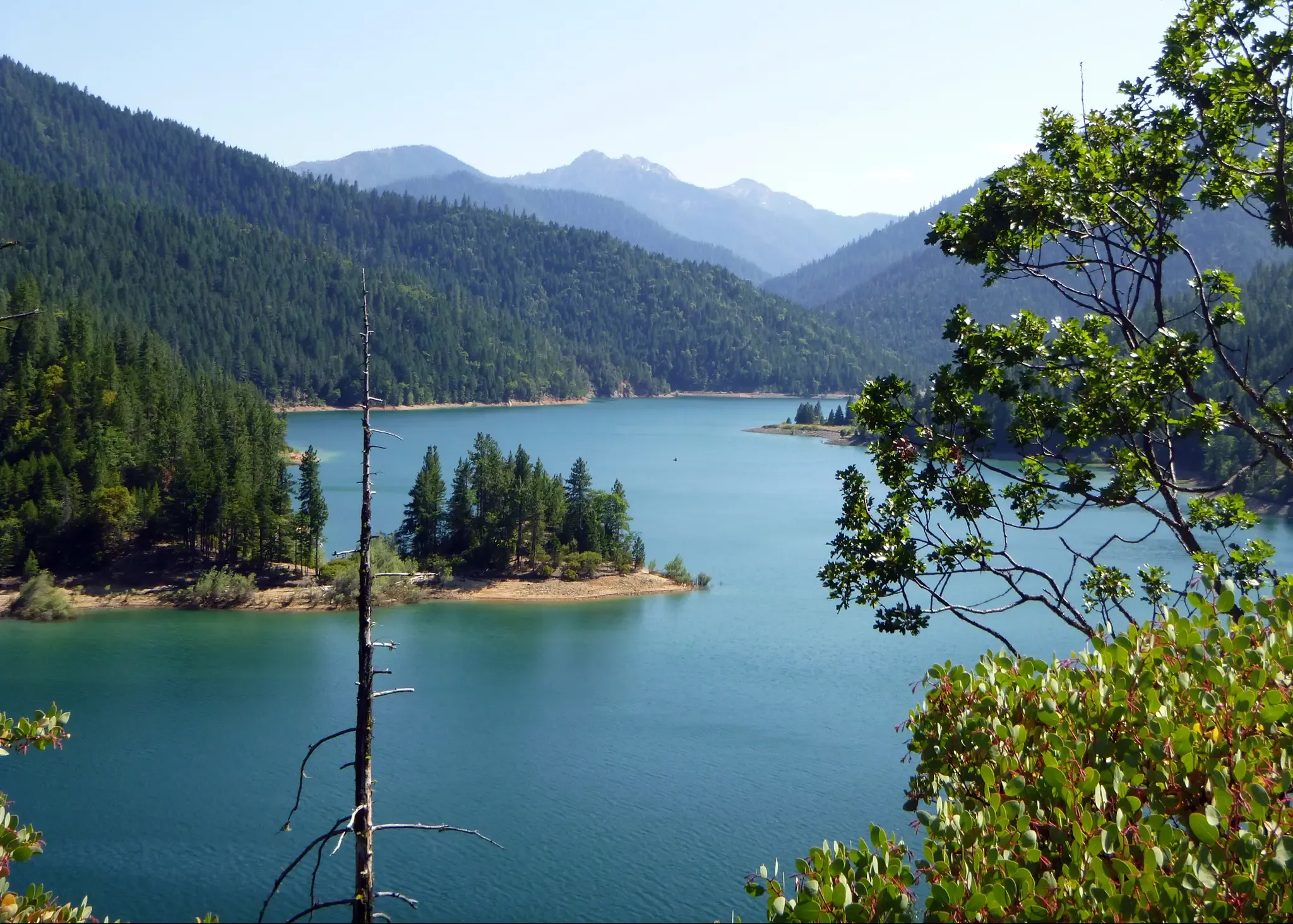 A large blue lake with forested islands surrounded by green mountains under bright daylight. - Jacksonville - Applegate Lake loop