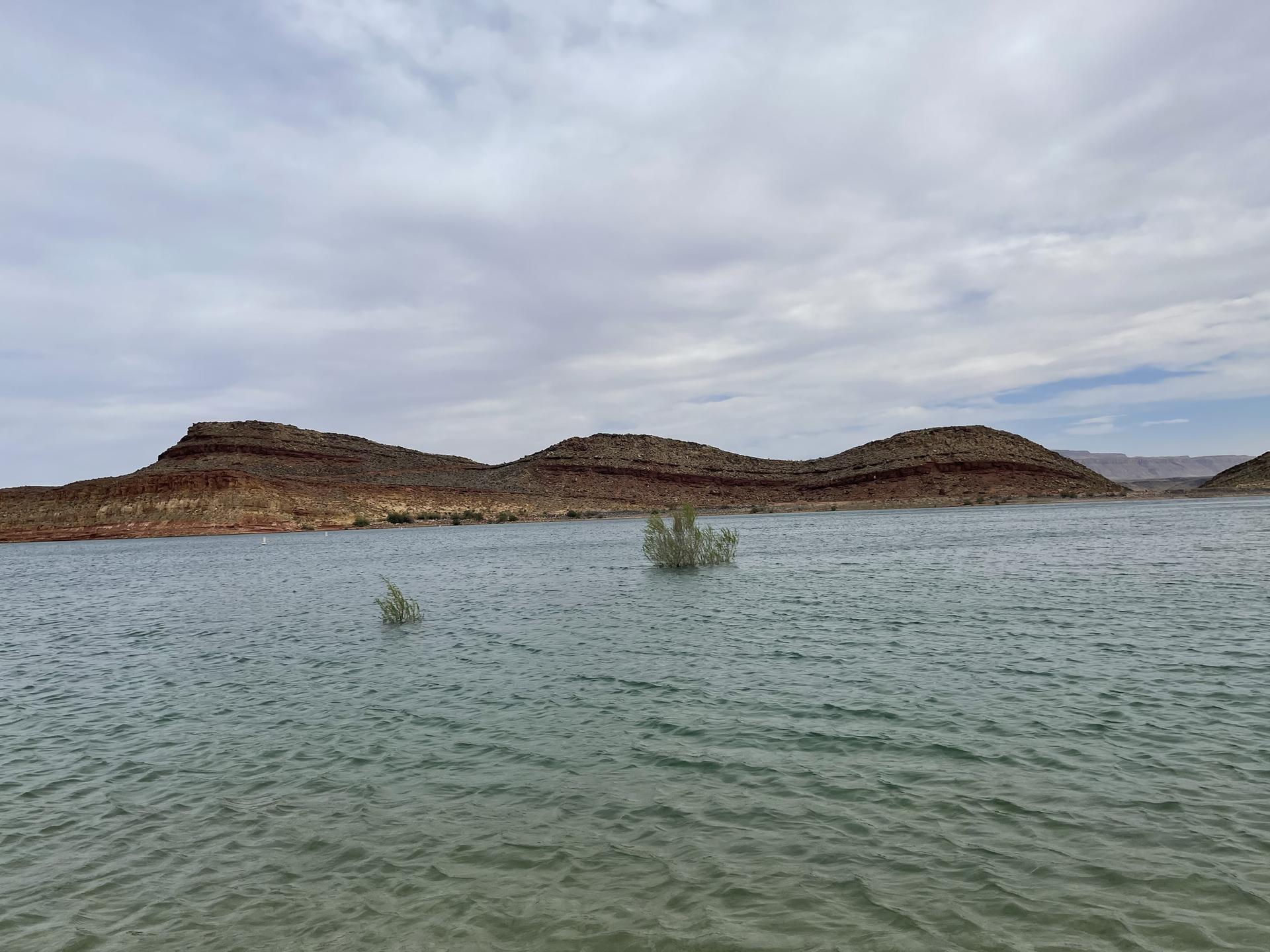 Calm water with submerged plants before rocky hills under an overcast sky.