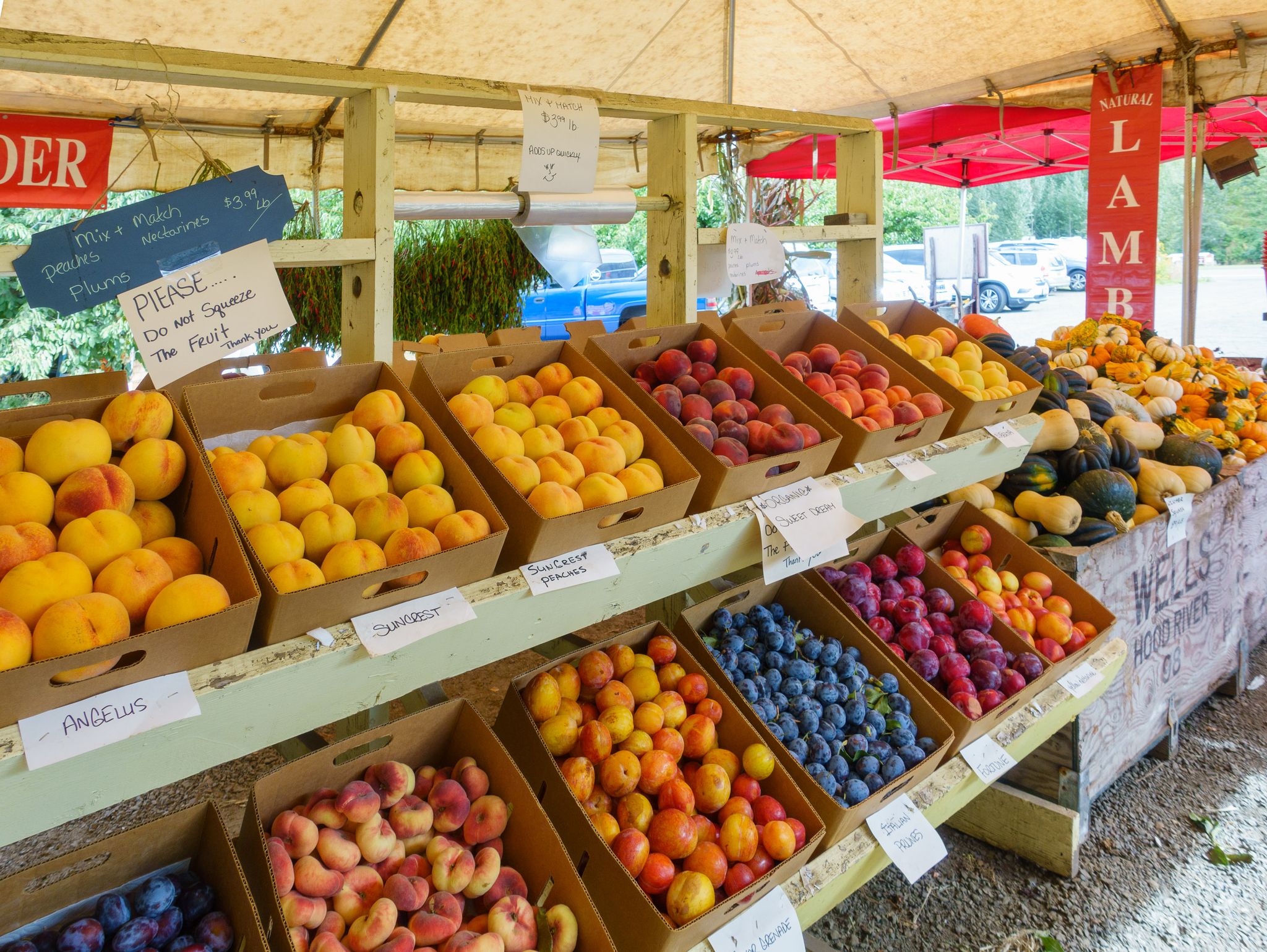 A colorful outdoor market stall displays abundant fresh fruits and gourds under bright light. - Copper Spur and Mt Hood Highway loop
