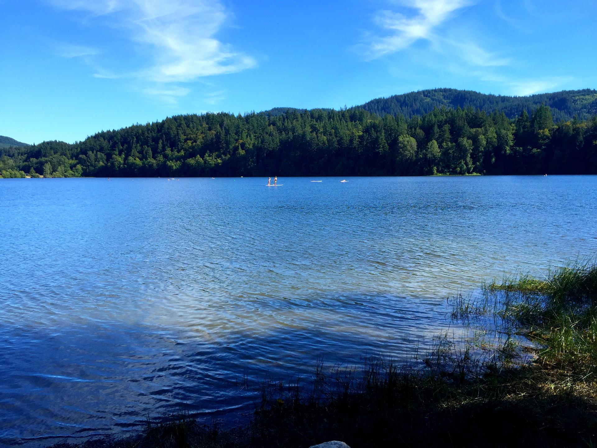 Expansive blue lake with forested hills under a bright sunny sky, distant boats.