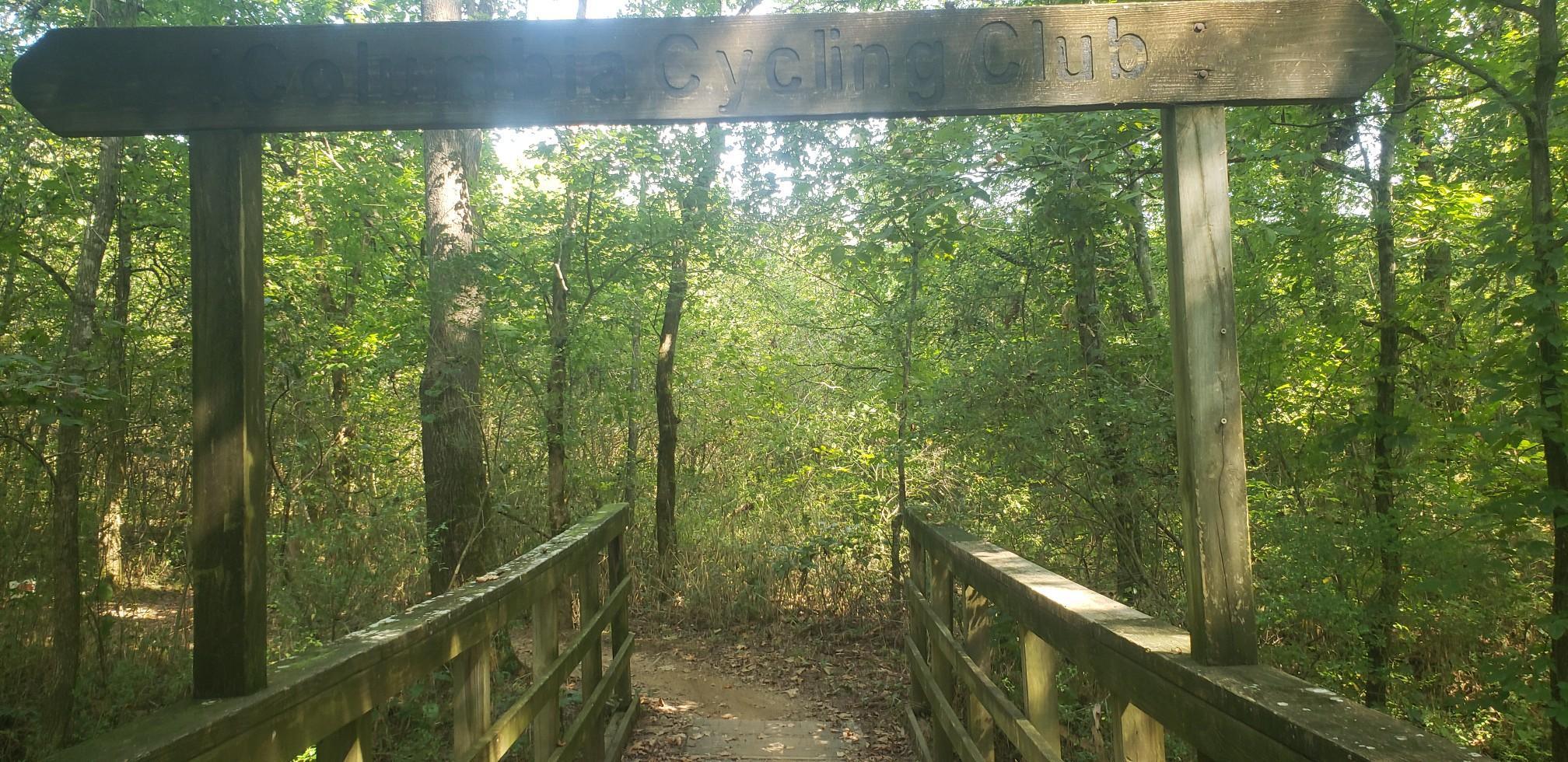 A wooden sign and bridge lead into a bright, sun-drenched forest.