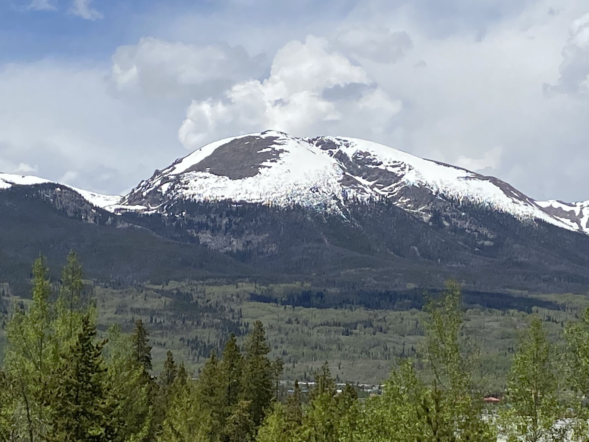 A large snow-capped mountain rises above a green forest under clouds. - Temple Trail