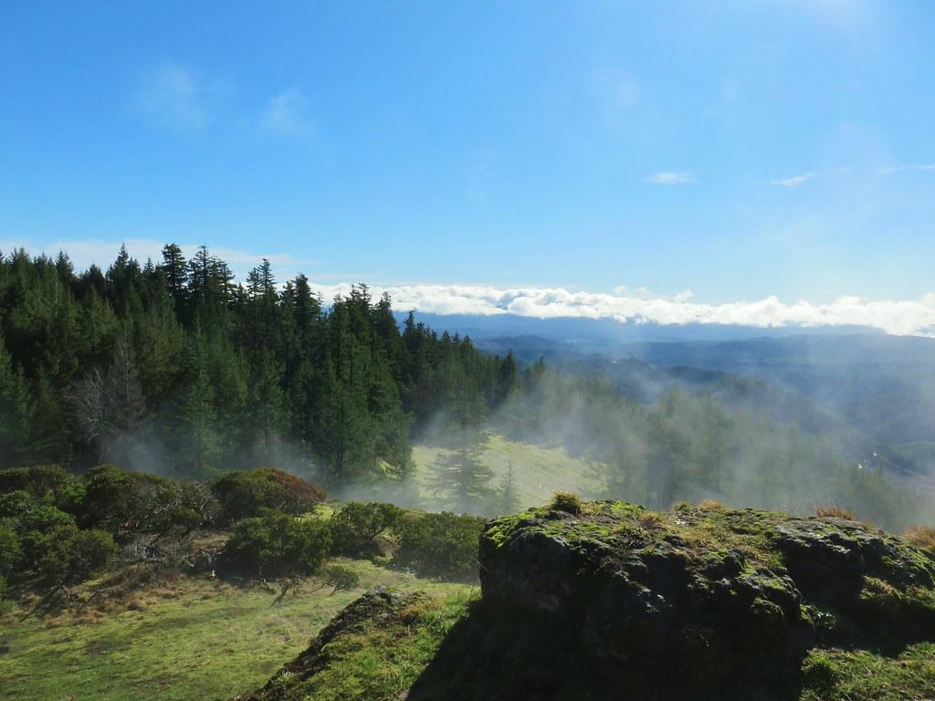 Sunny mountain vista with evergreen forests and mist rising from valleys.