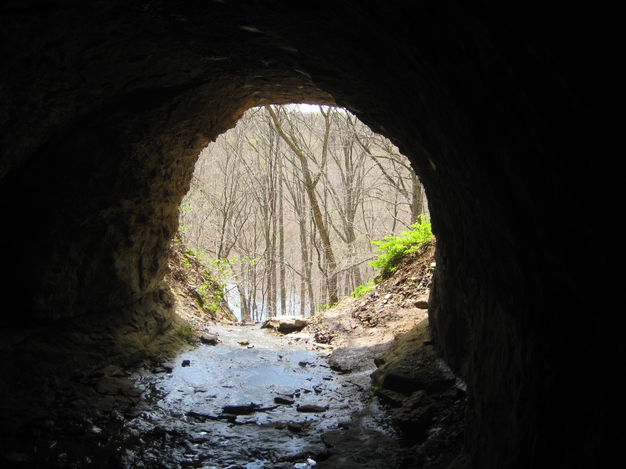 Dark cave opening to a bright forest with bare trees and wet ground.