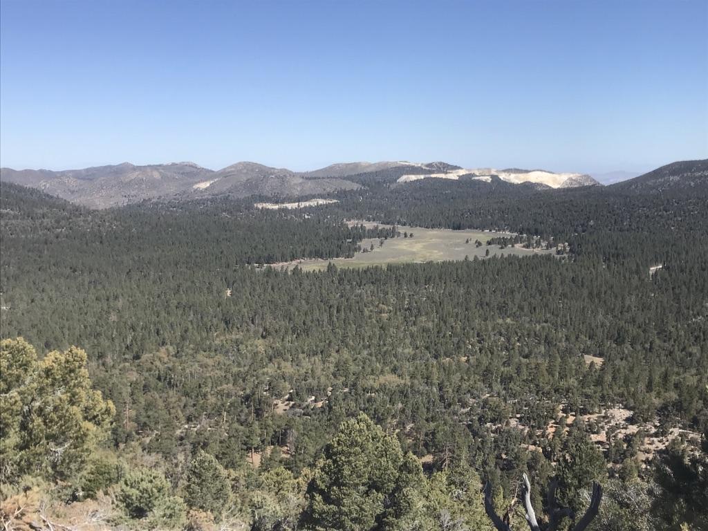 An expansive forest with a central grassy clearing, surrounded by distant mountains.