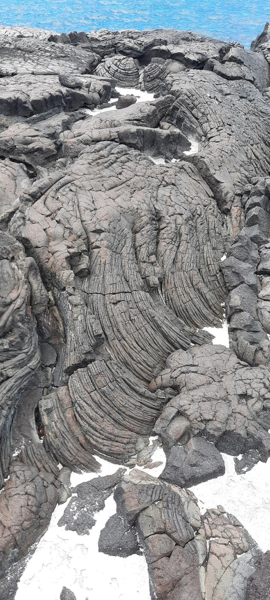 Close-up of intricate, swirling patterns in dark lava rock near water.