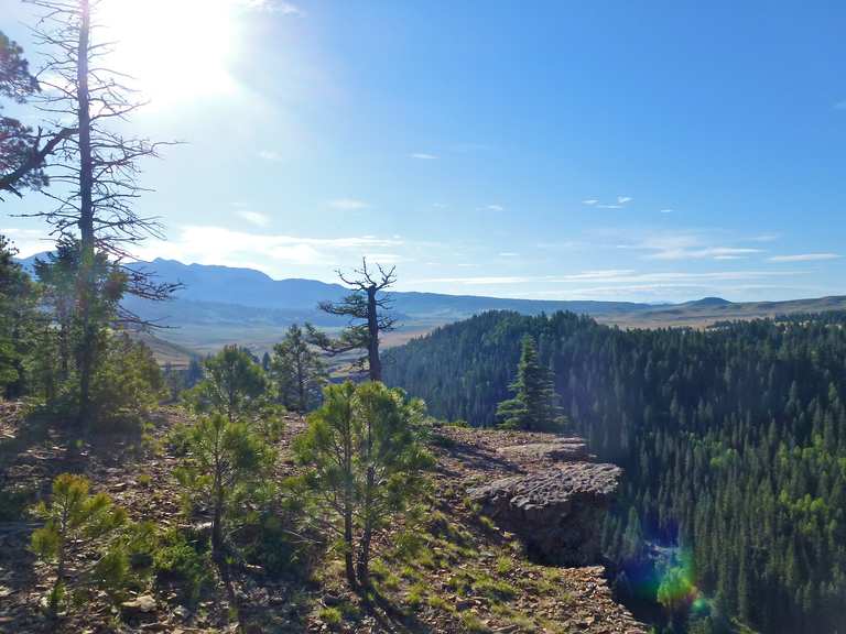 Piedra River Trail — San Juan National Forest | run | Komoot