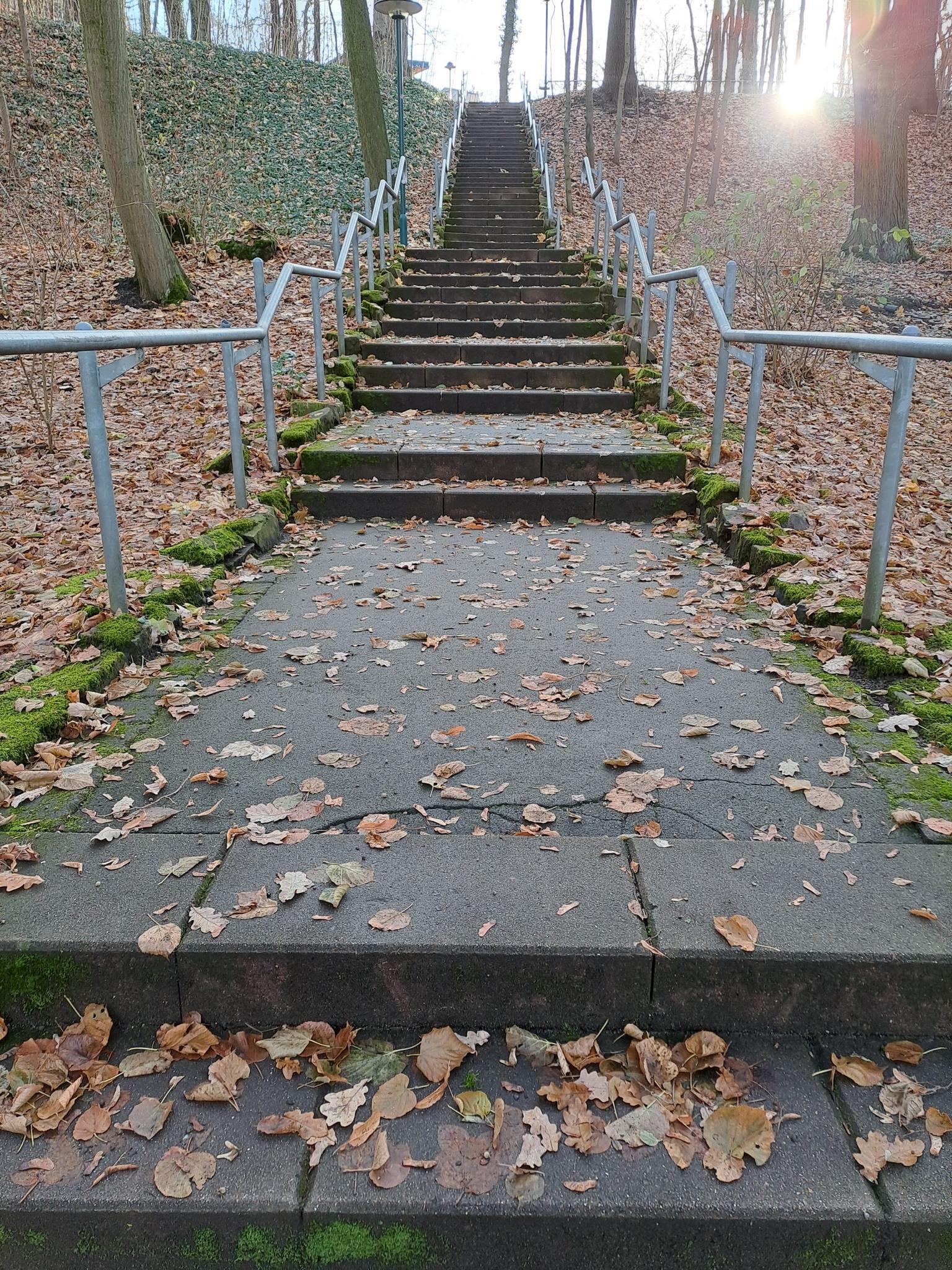 0?width=640&height=360&crop=true&q=70 Tourismus Bad Lausick &ndash; Touren - Kleiner Kurparkring (TK 1)