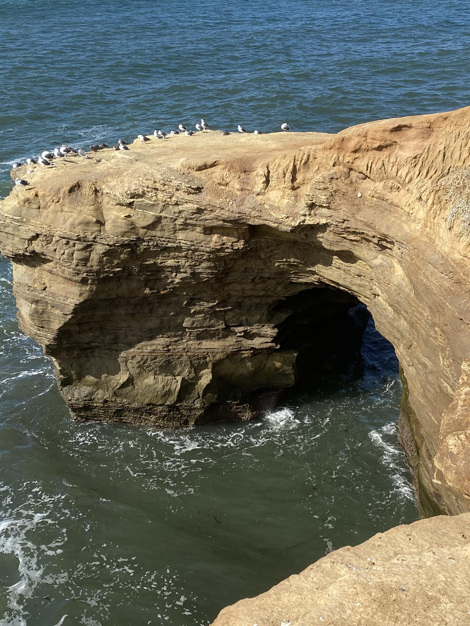 Ocean waves crash against a natural rock arch with birds perched above.