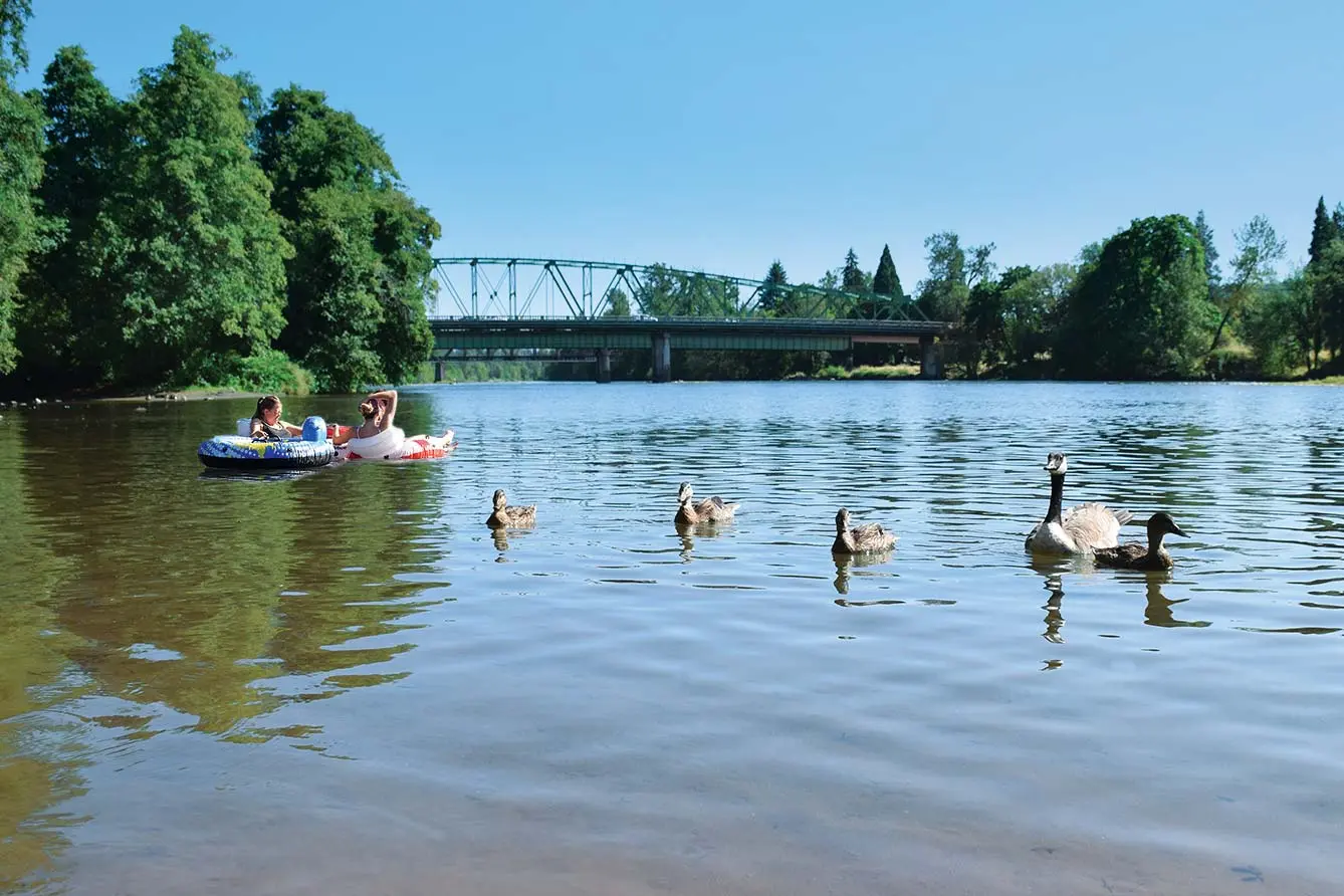 People float on tubes in a sunny river with ducks and a distant bridge.