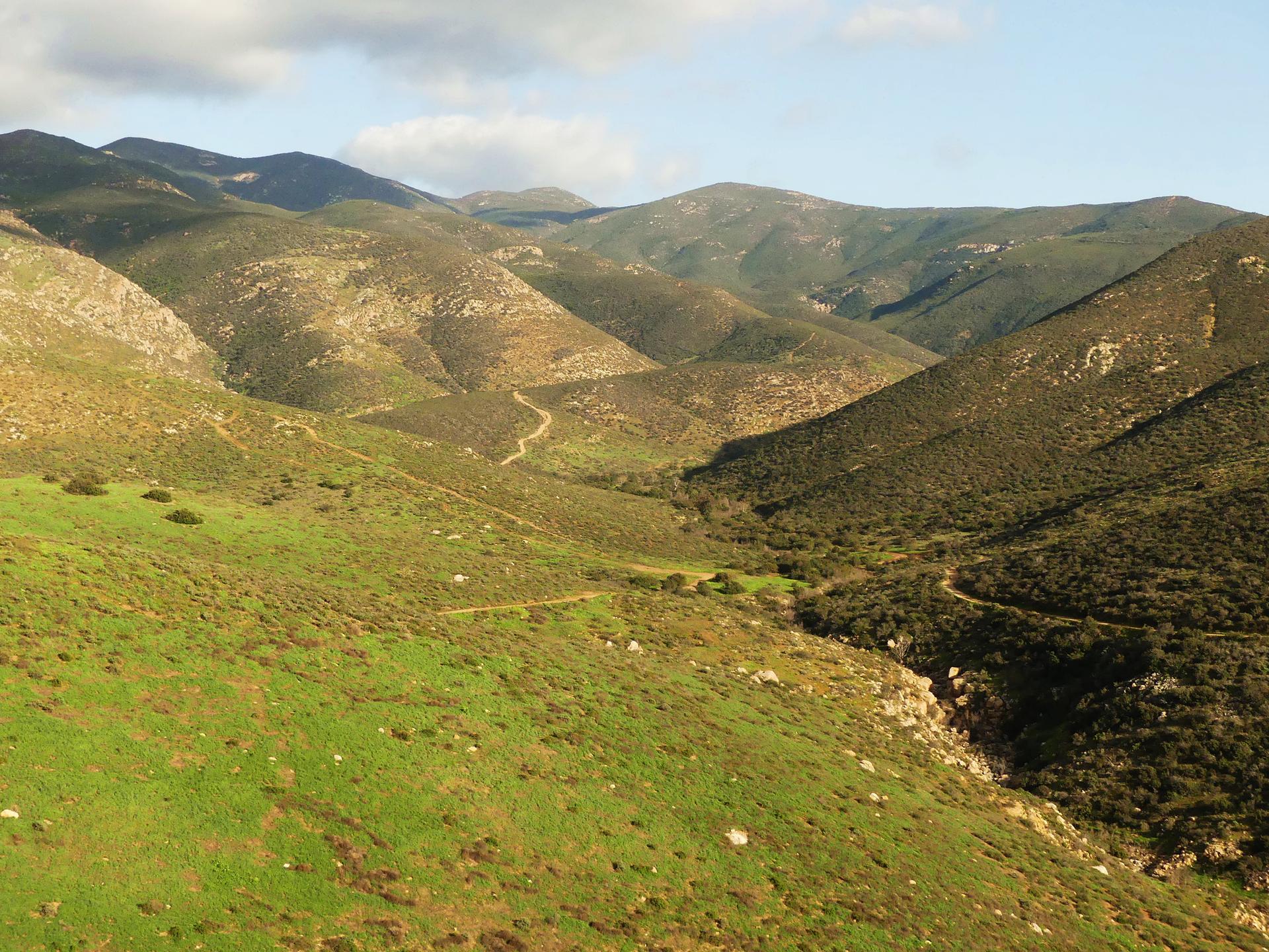 Expansive view of sunlit green and rocky hills with winding dirt paths.