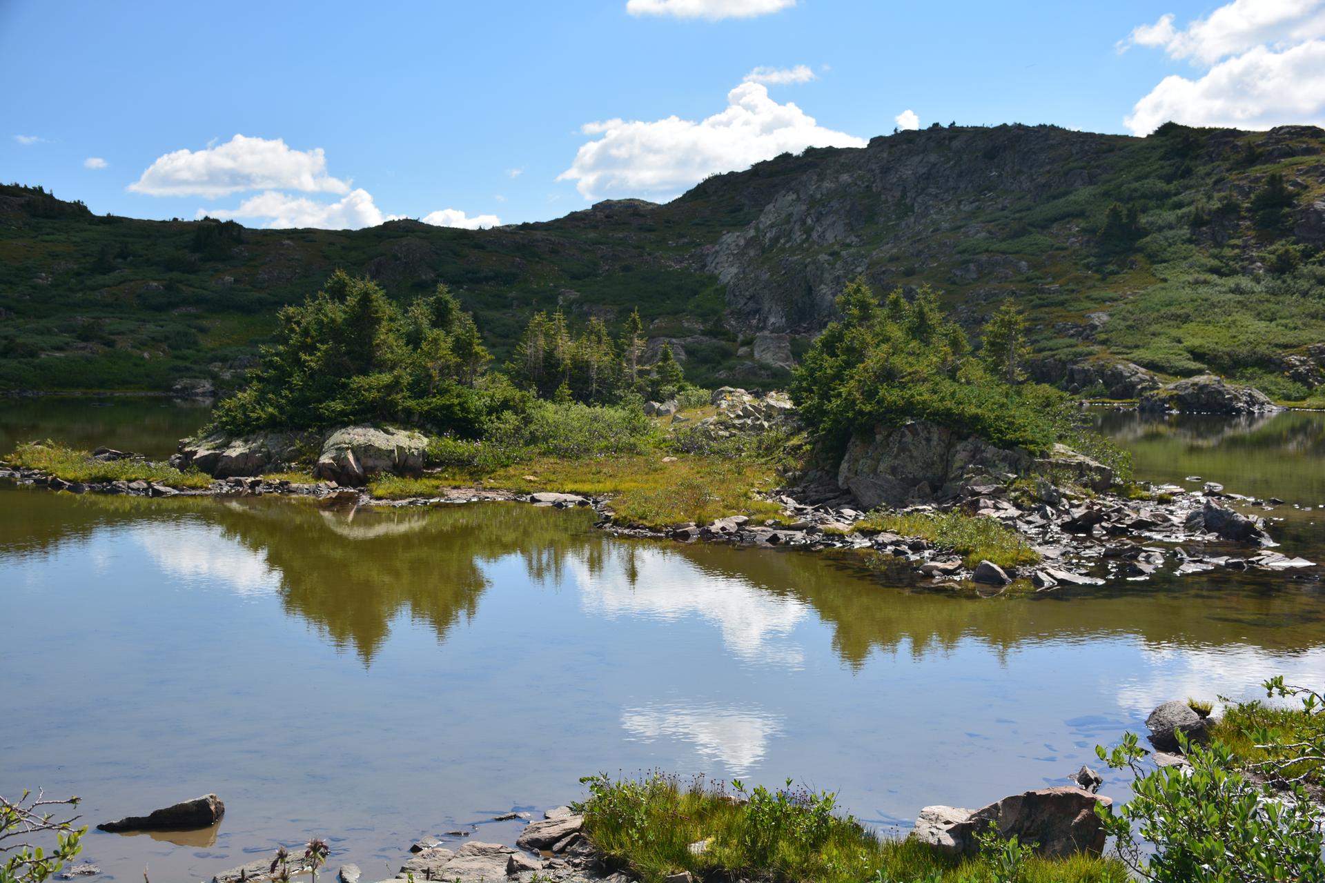 Calm mountain lake reflecting rocky shores and small trees under a bright blue sky.