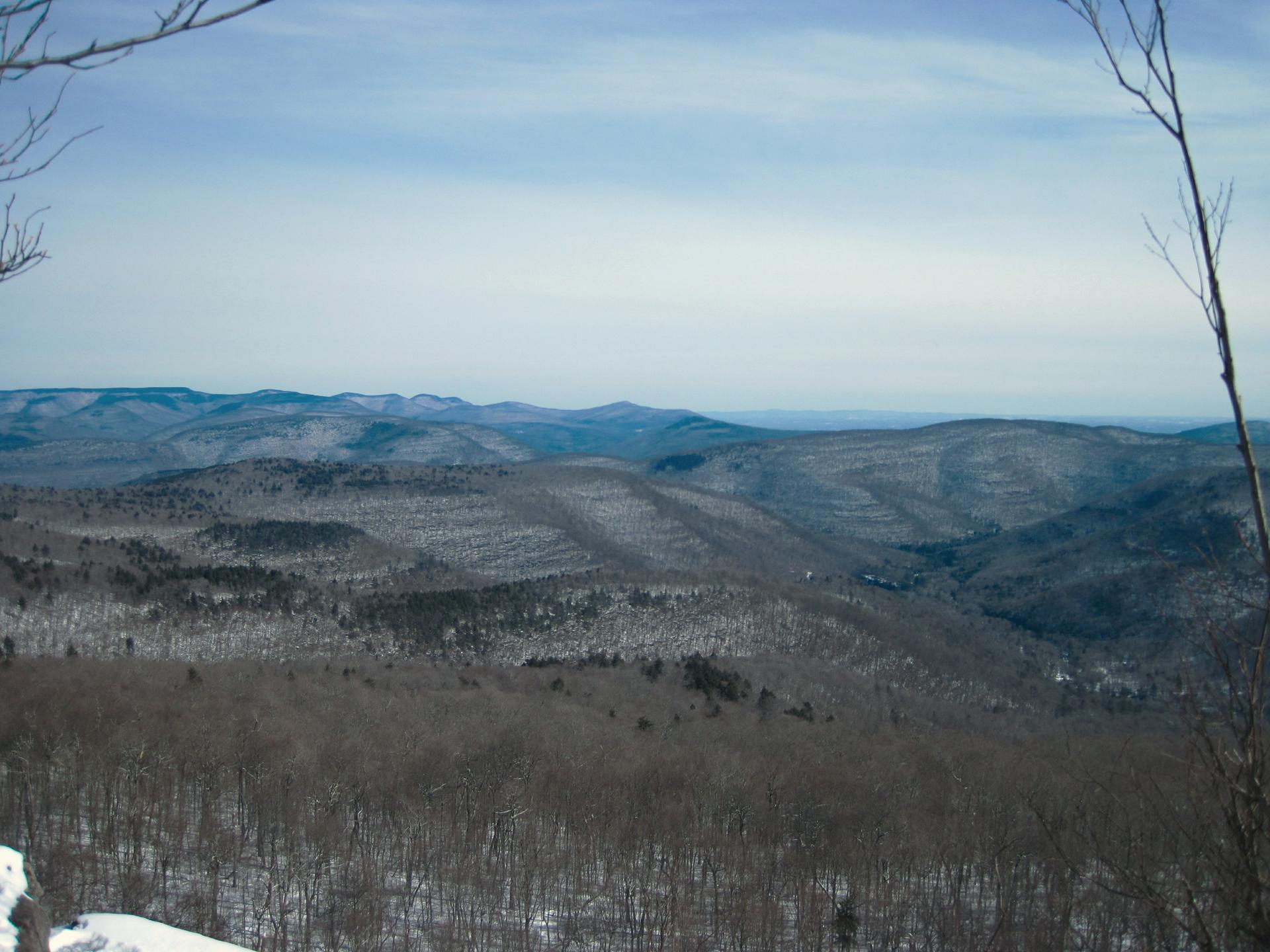 Wide view of snow-covered hills and bare trees under an overcast sky.