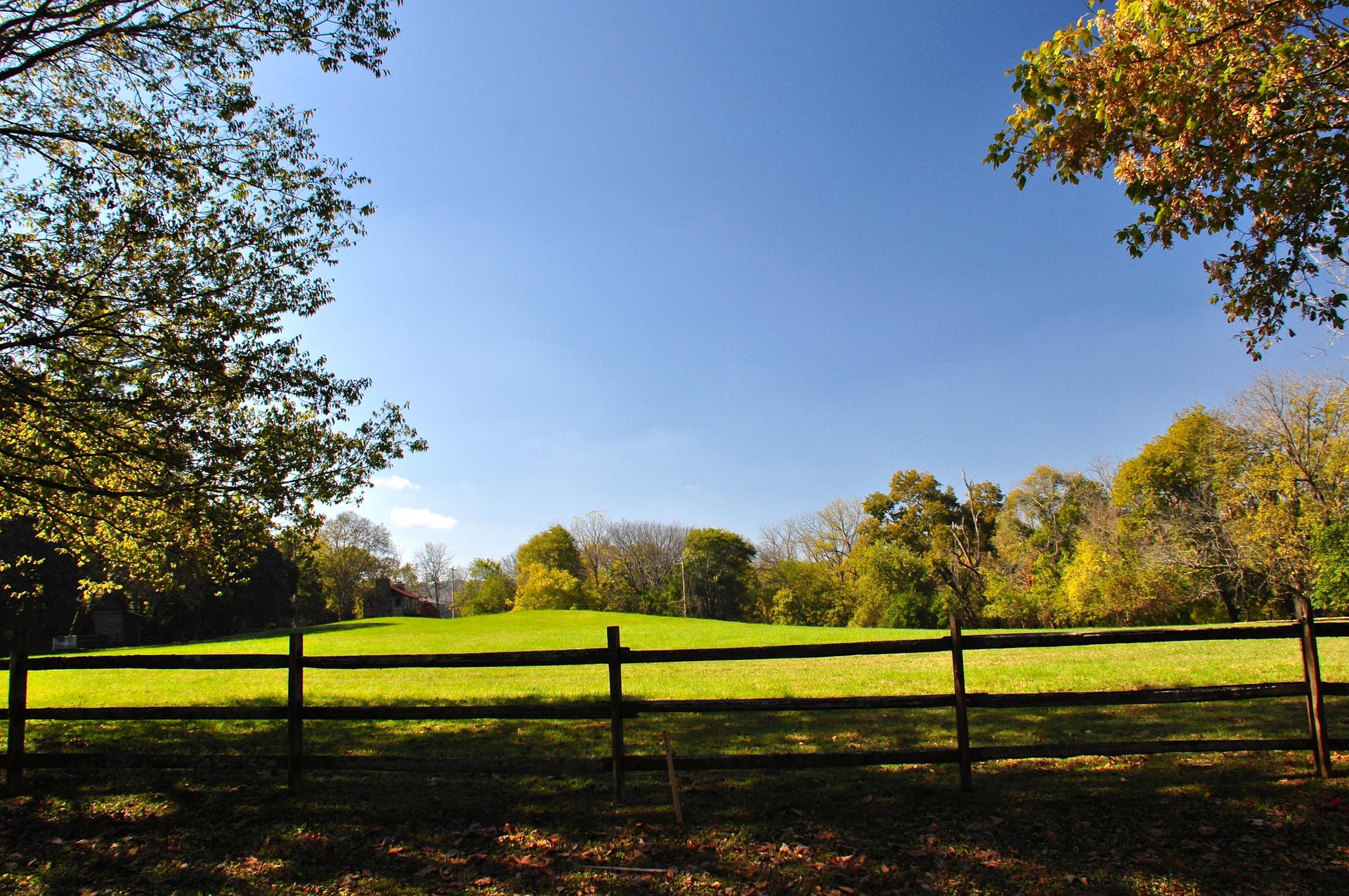 Sunny green field with a wooden fence and trees under a clear blue sky.