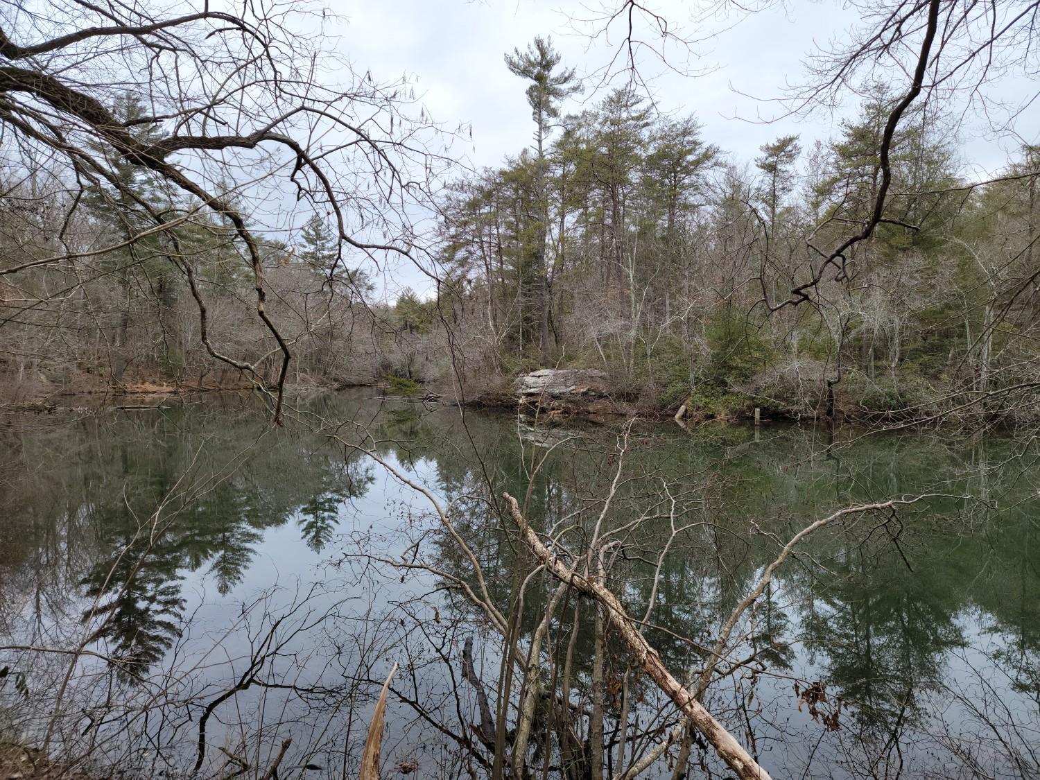 Tranquil lake surrounded by dense forest, reflecting trees under an overcast sky.