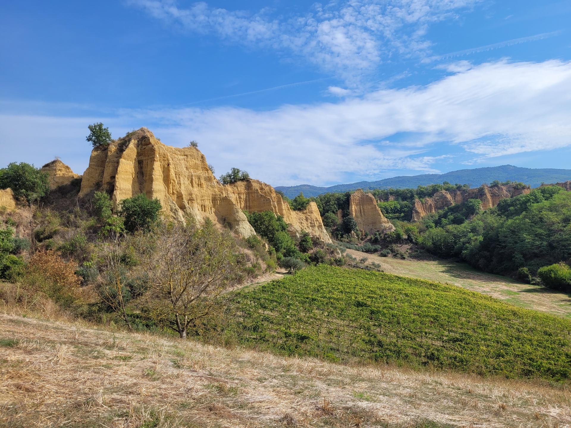 Prada Group Industrial Facility in Montevarchi, image size:1920x1440