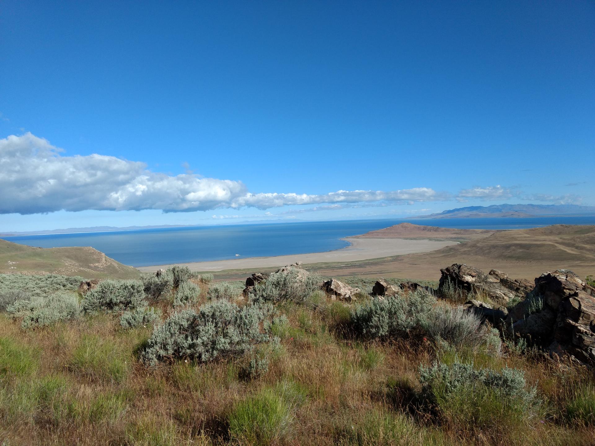 Expansive view of a large body of water, hills, and scrubland under blue sky.