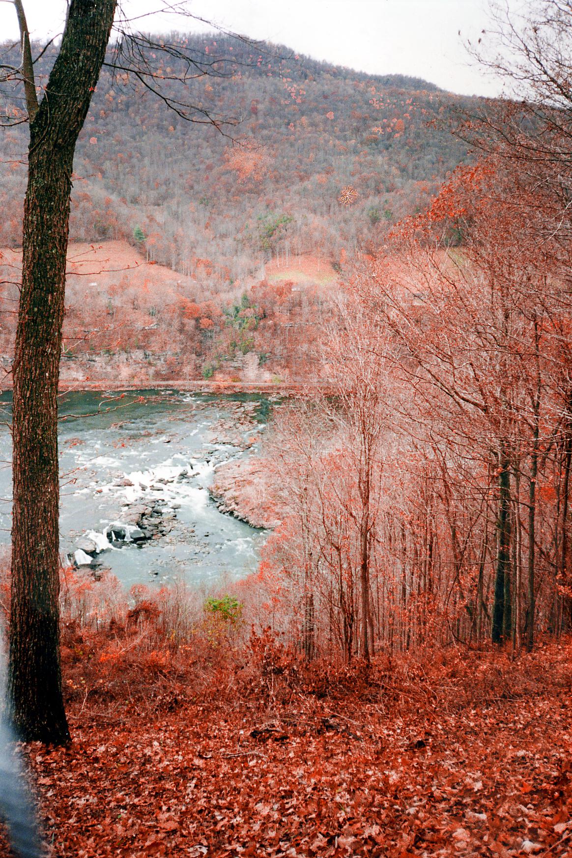 Autumn landscape with a river, bare trees, and distant mountains under a cloudy sky.
