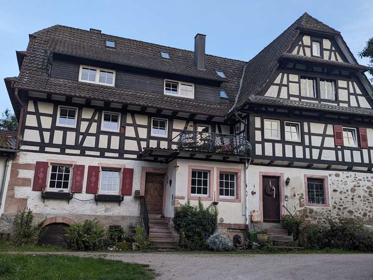hngematte zelt Haven Tent Hngematte  Draussen Erleben