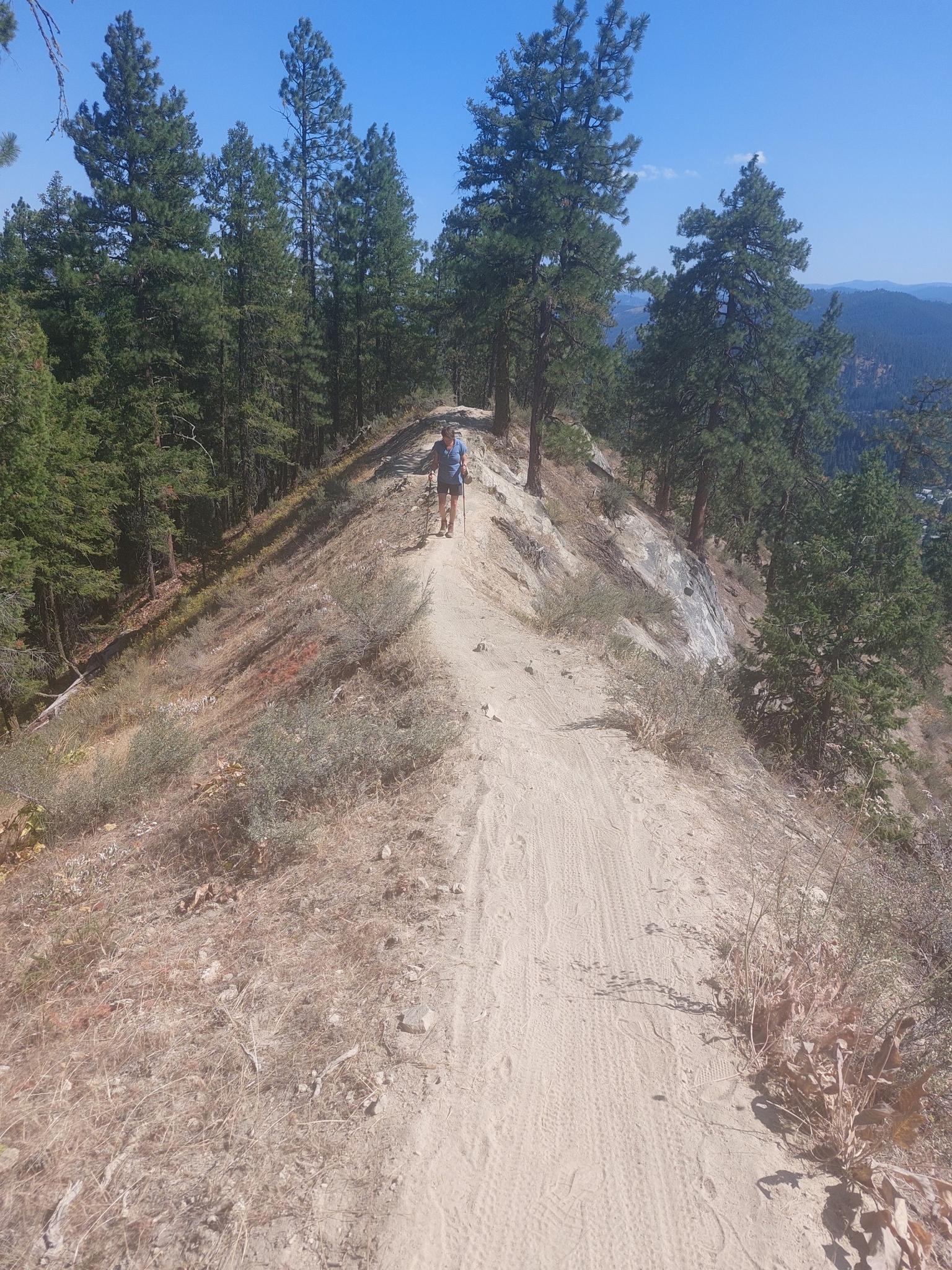 Hiker with poles on a narrow dirt trail along a forested ridge.