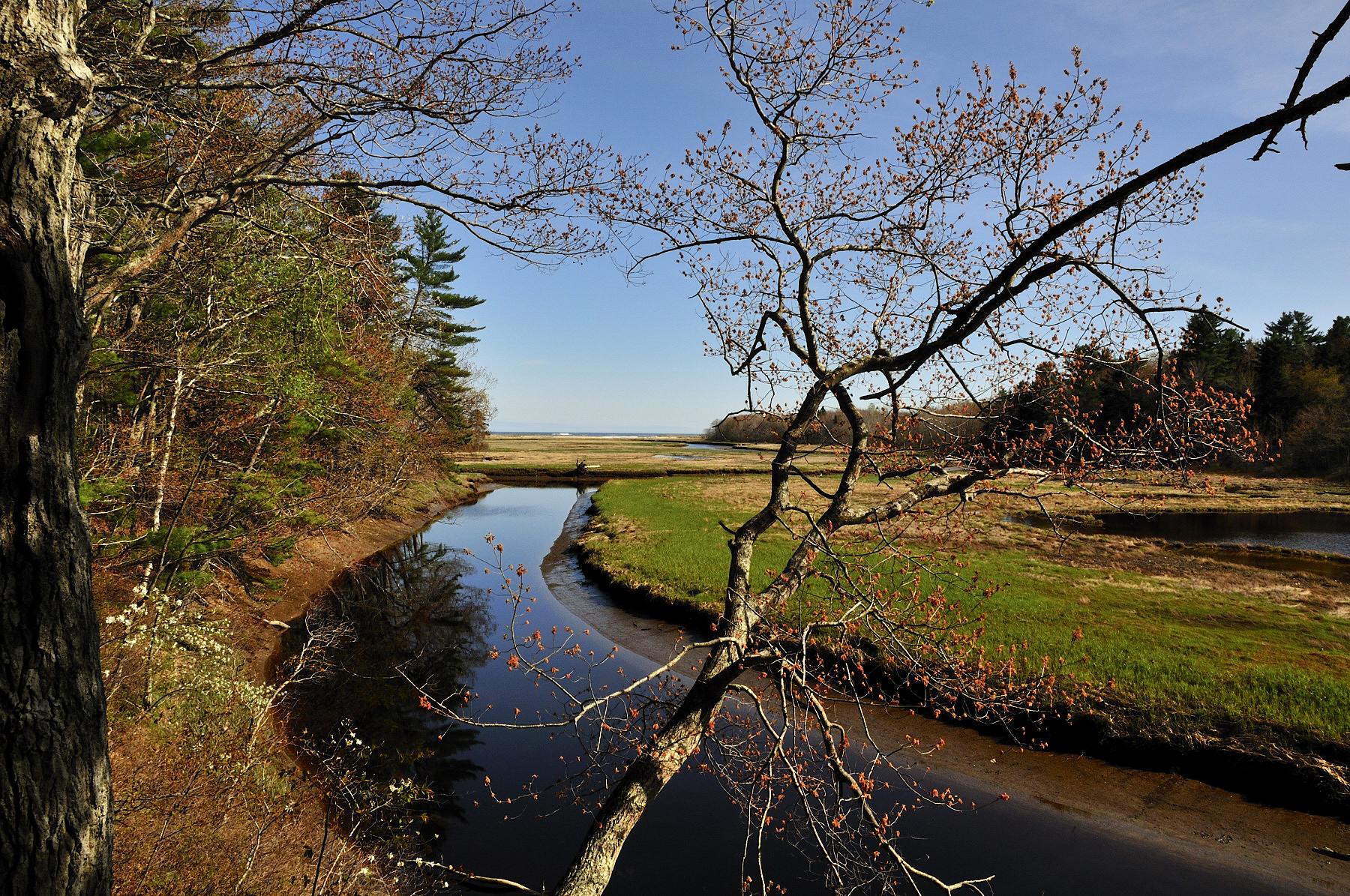A winding river flows through a sunny marsh, framed by trees.