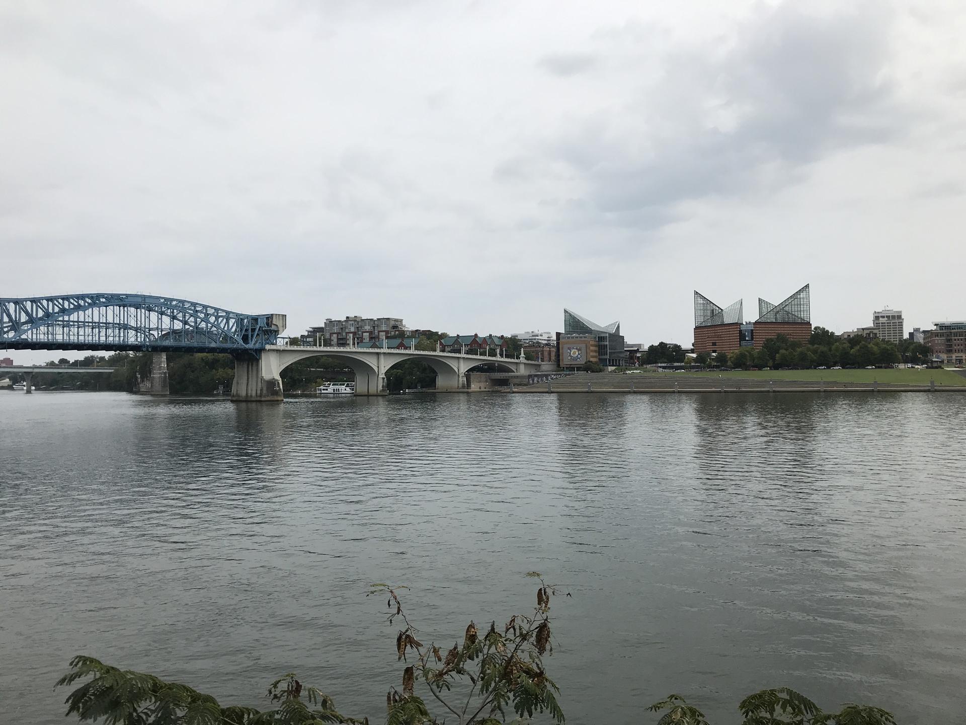 Overcast view of a wide river, multiple bridges, and a distant city skyline.
