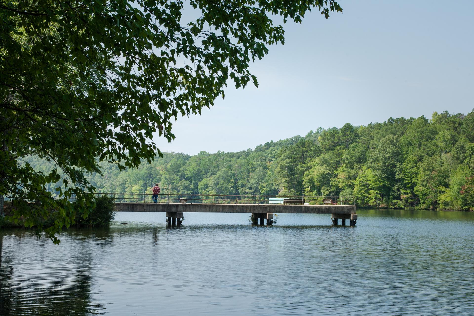 A person fishes from a pier on a lake surrounded by lush green forest.