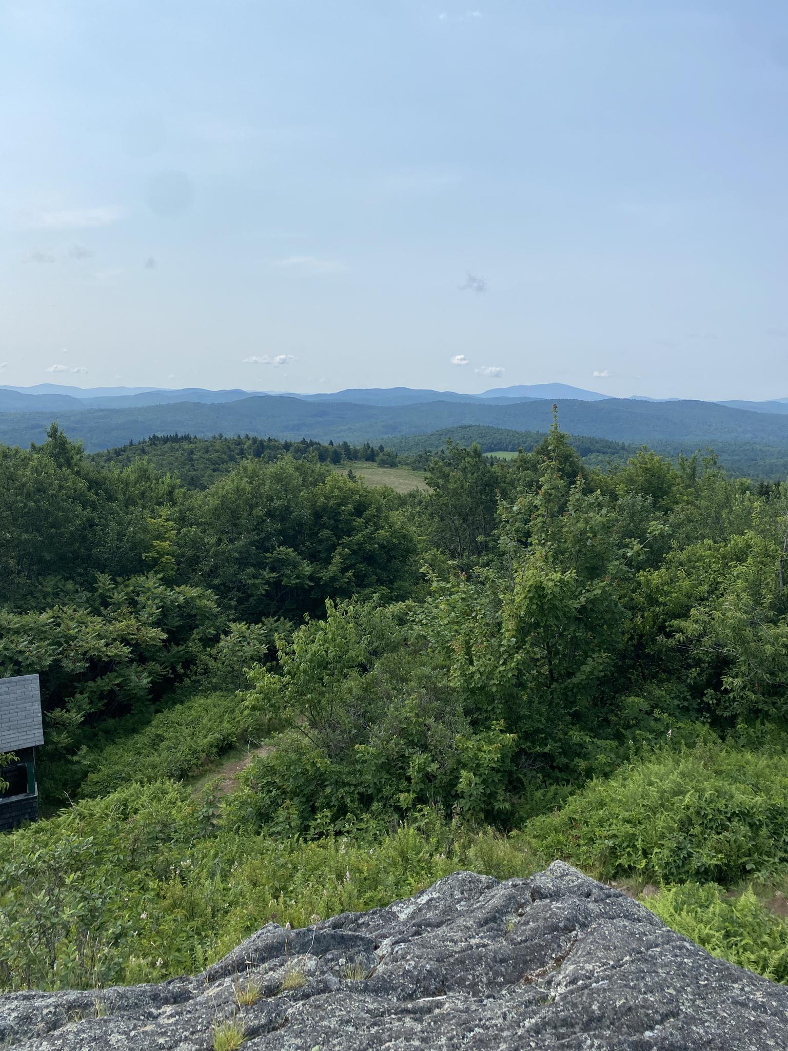 Panoramic view from a rocky peak over dense green forests and distant mountains.