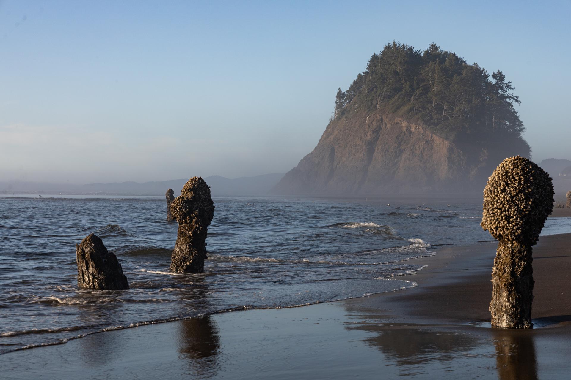 Three barnacle-covered sea stacks on a sandy beach at golden hour.