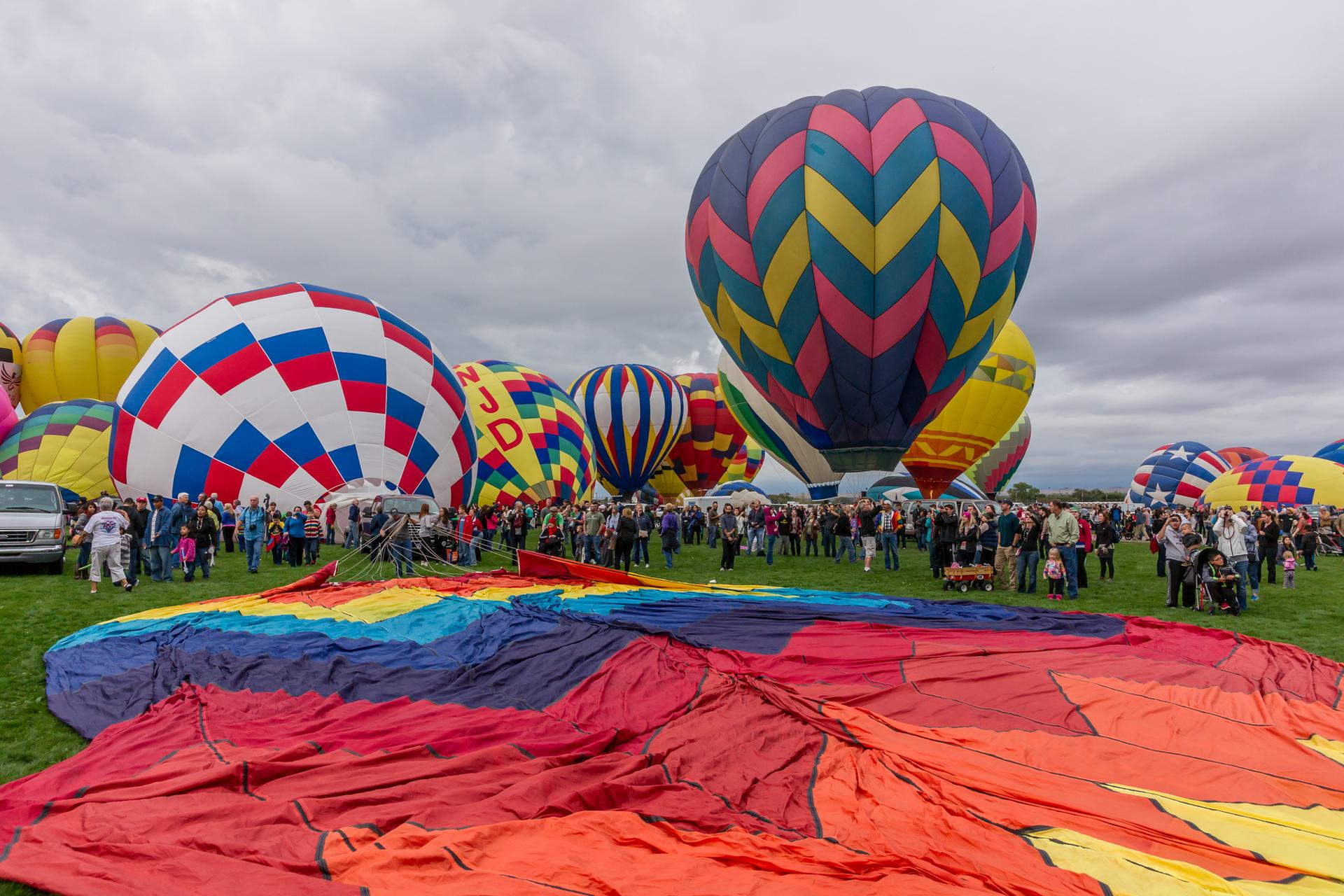 Many colorful hot air balloons on a grassy field with a large crowd.