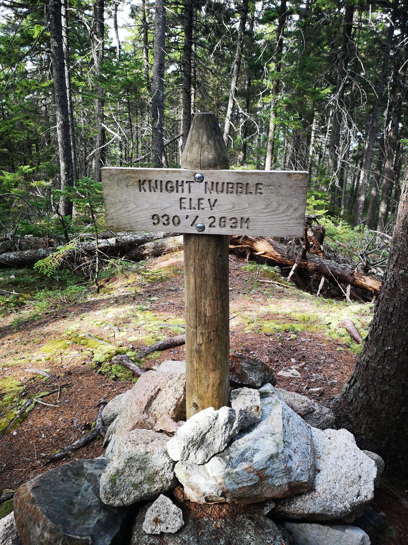 Wooden sign on a rock cairn in a sunlit forest clearing.