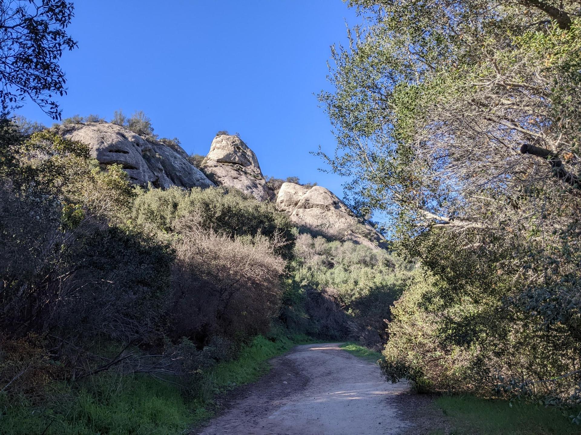 Dirt path winding through green foliage towards sunlit rocky hills under blue sky.